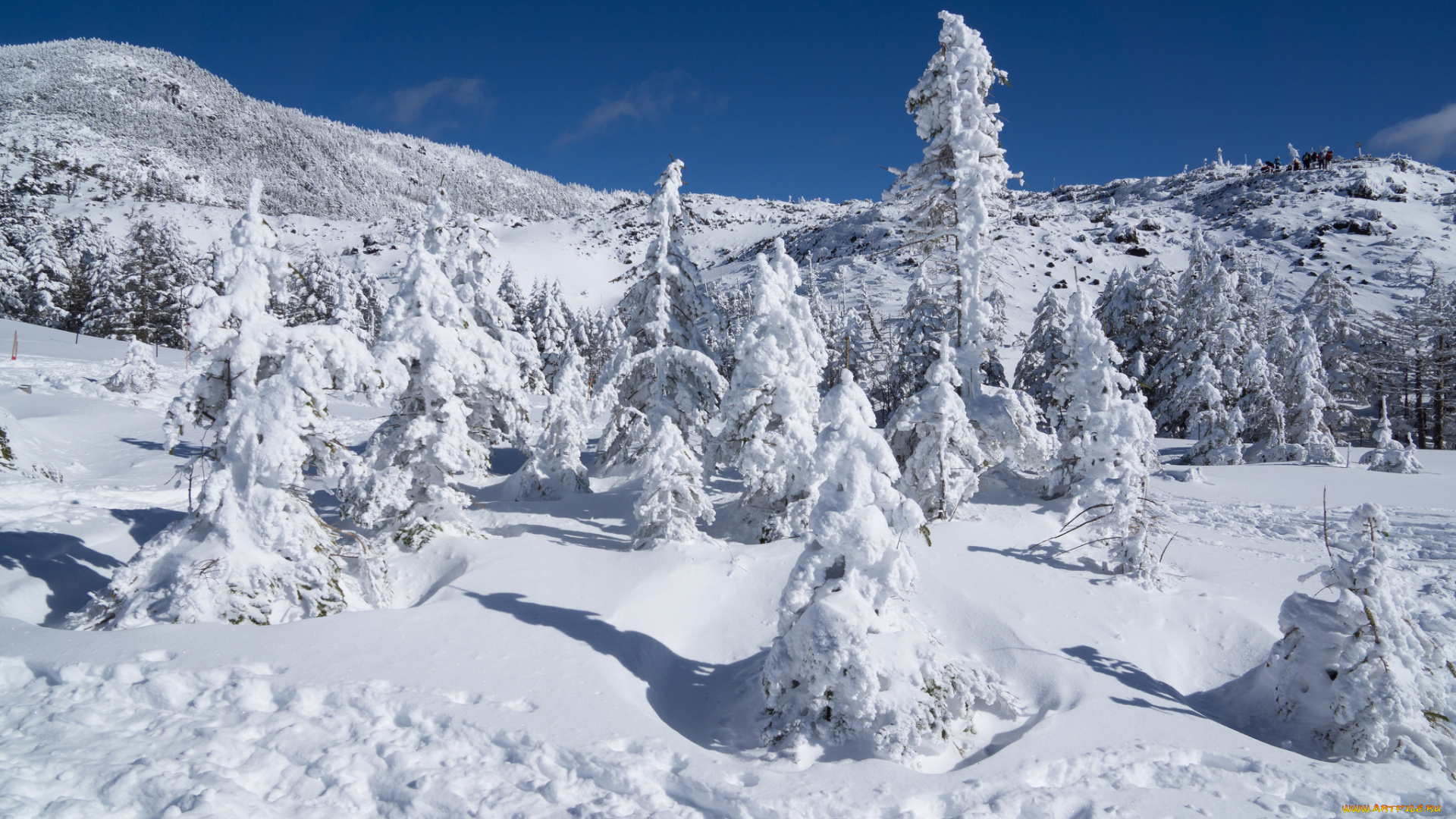 природа, зима, снег