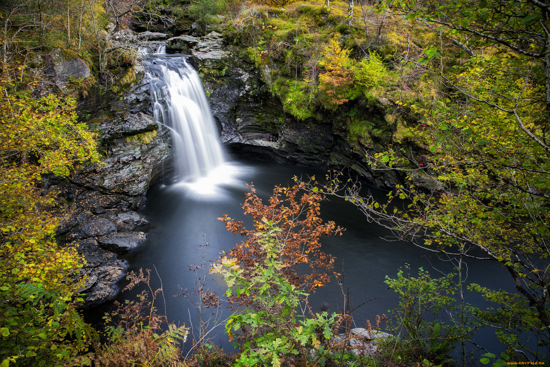 природа, водопады, река, водопад, лес