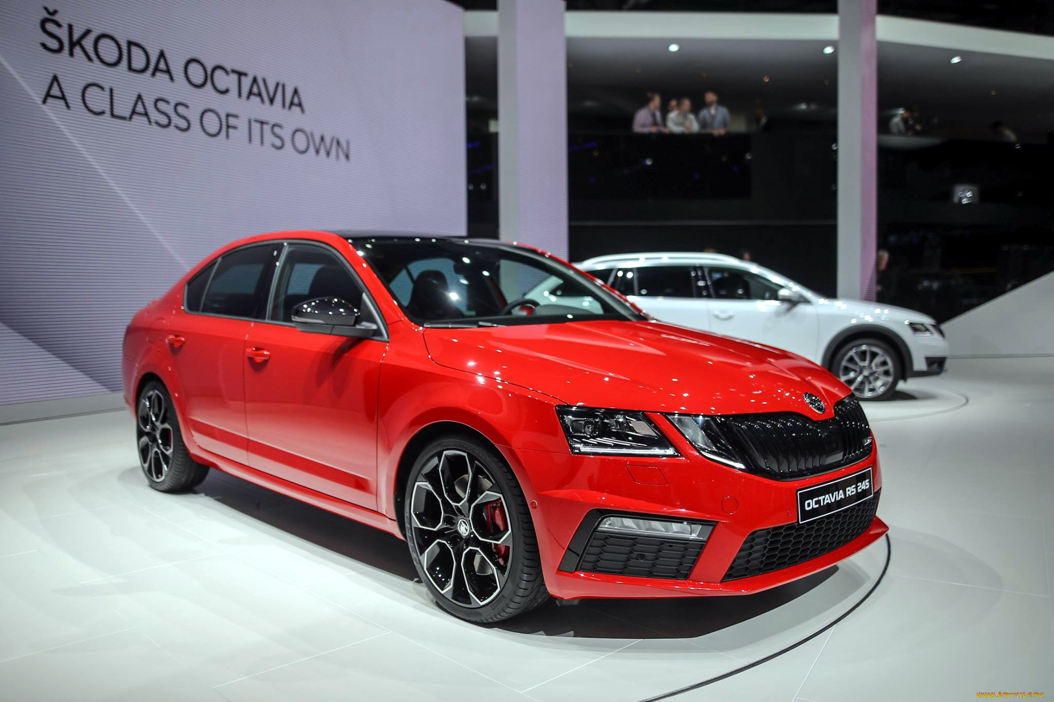 автомобили, выставки, и, уличные, фото, октавия, шкода