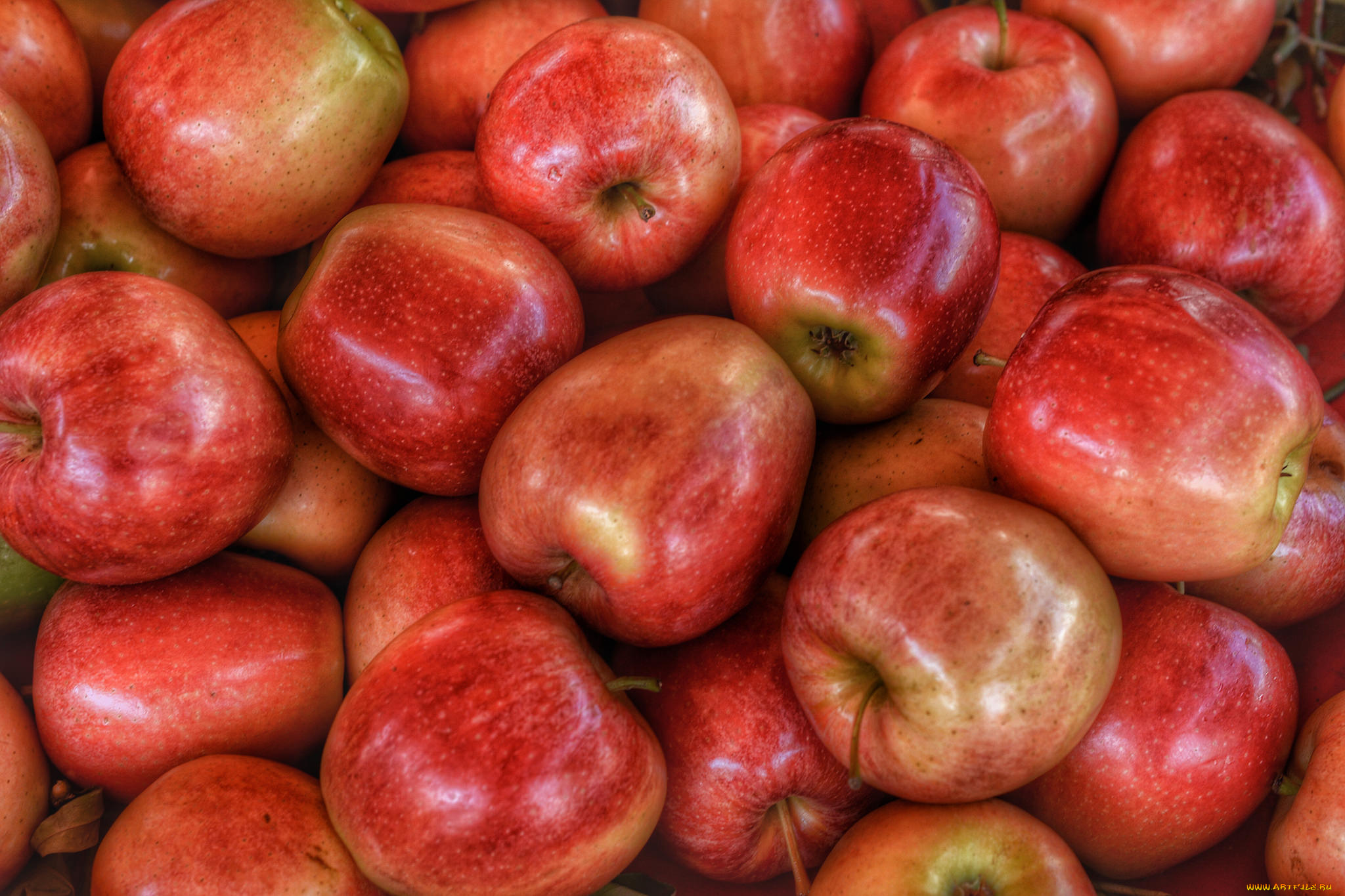 еда, Яблоки, плоды