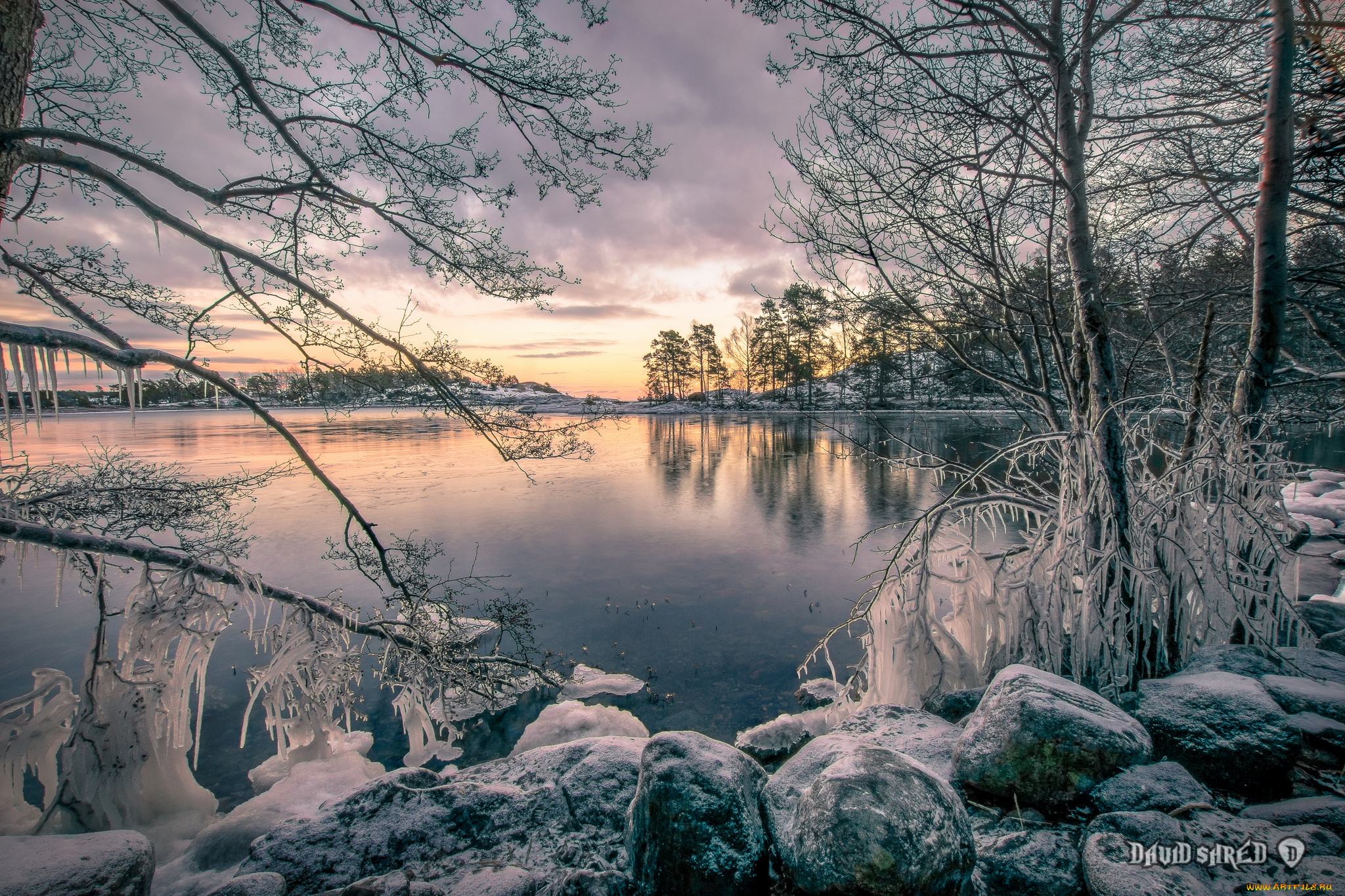 природа, реки, озера, лес, река