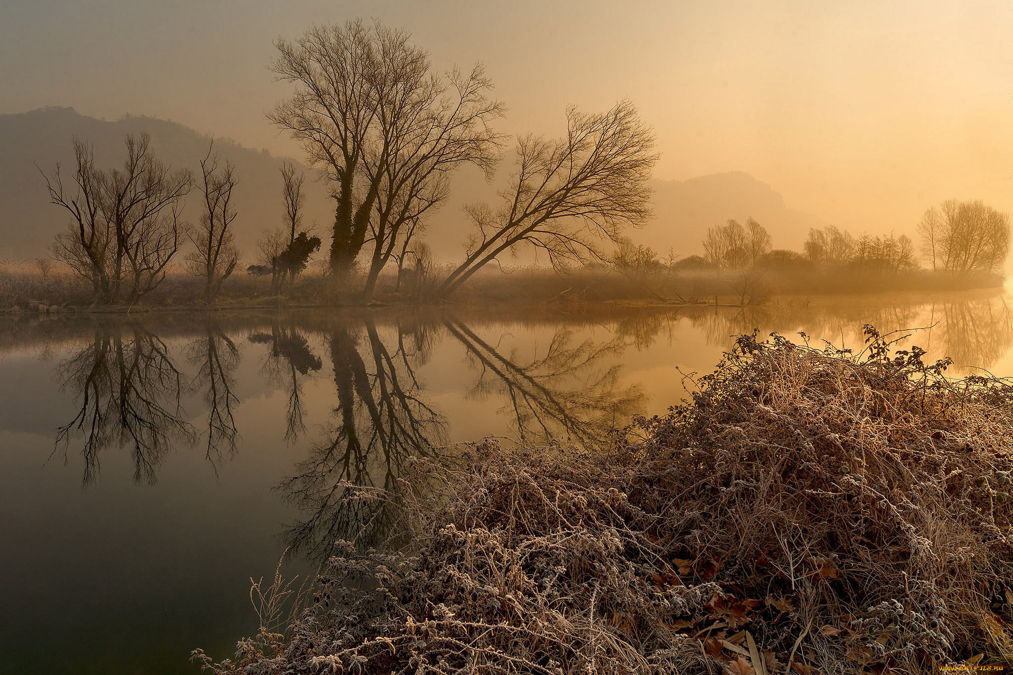 природа, реки, озера, лес, река