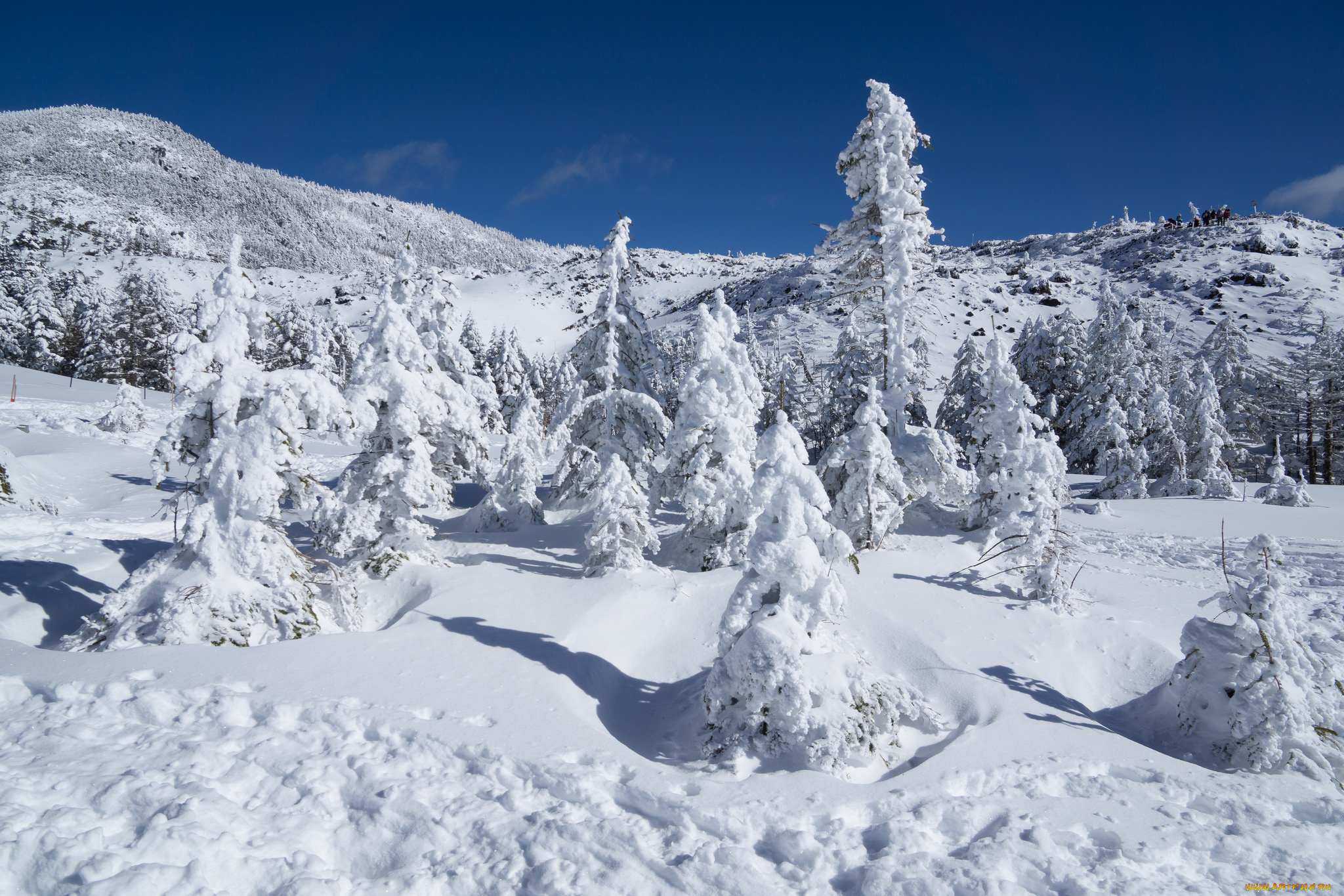 природа, зима, снег