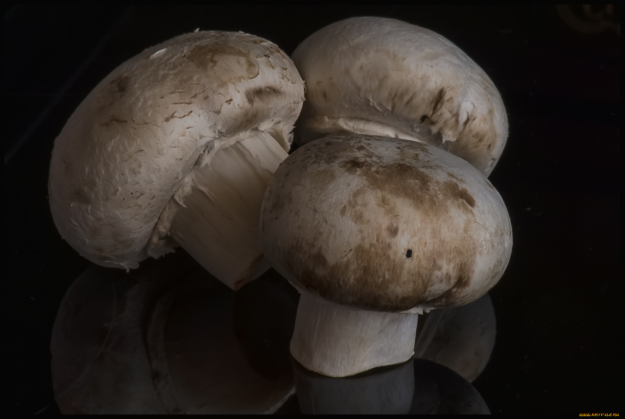 еда, грибы, , грибные, блюда, шампиньоны