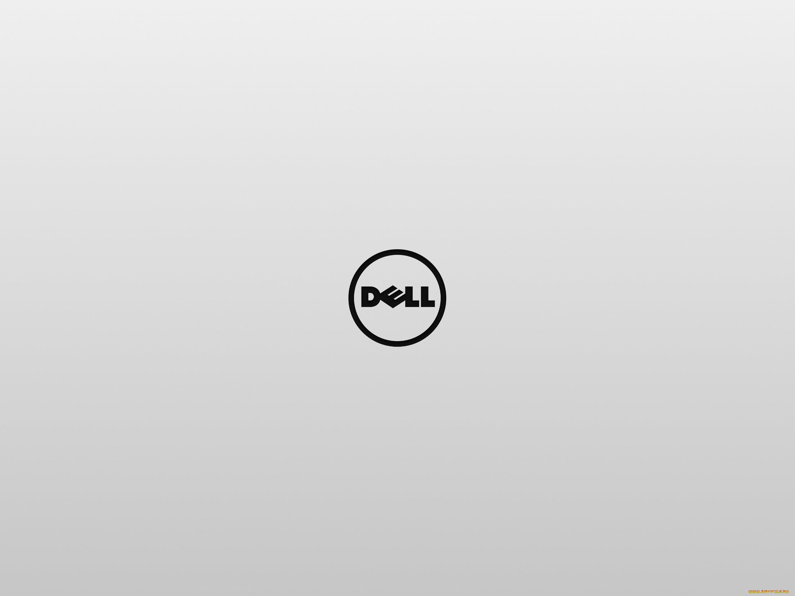 компьютеры, dell, логотип, фон