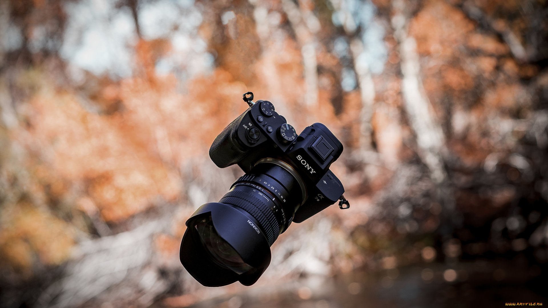 бренды, sony, фотокамера