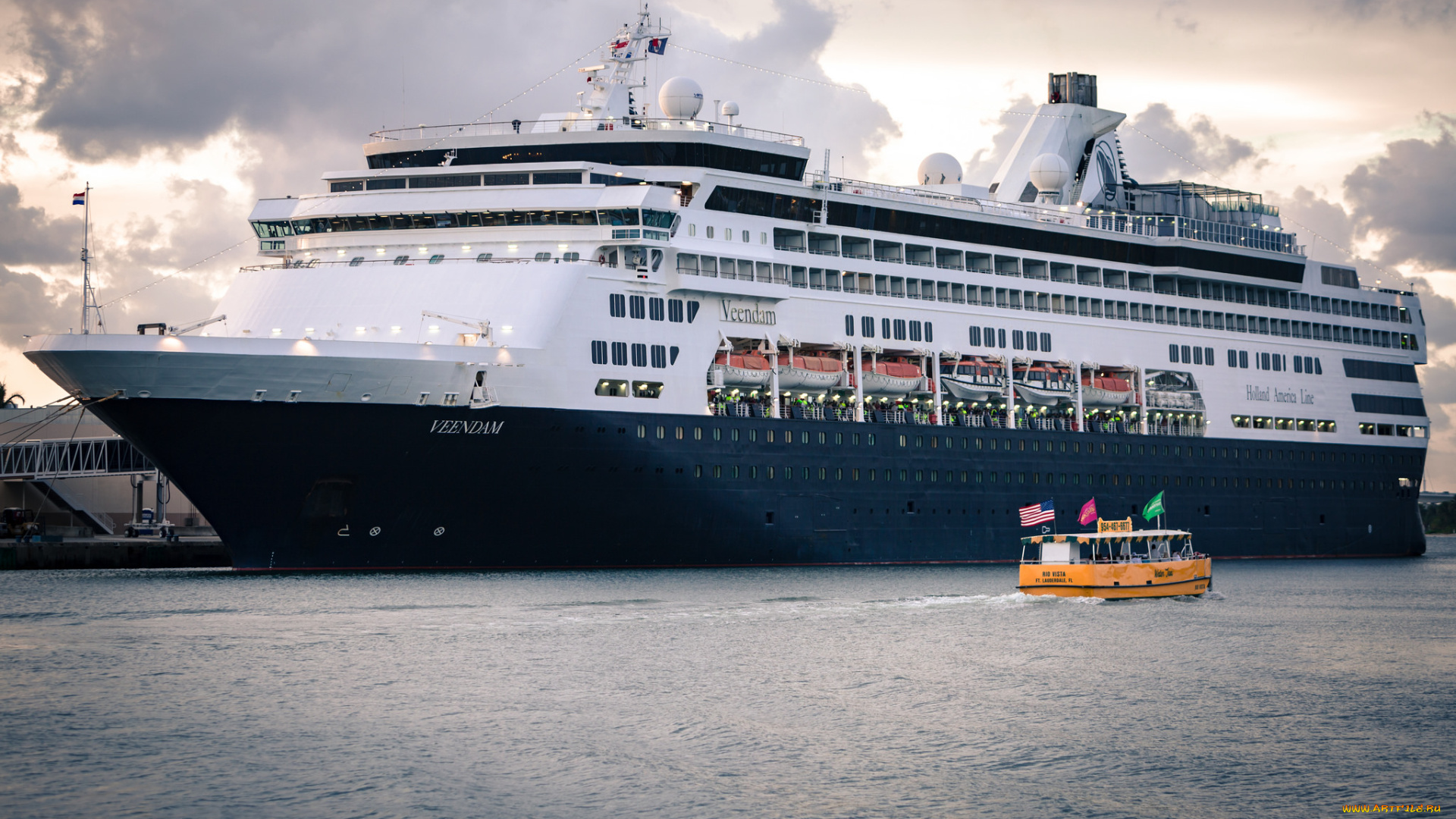 ms, veendam, корабли, лайнеры, круиз, лайнер