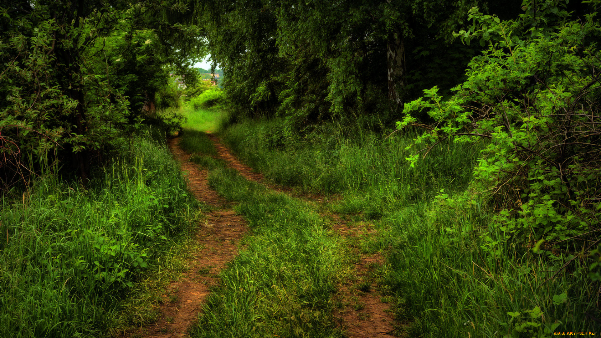 природа, дороги, простор