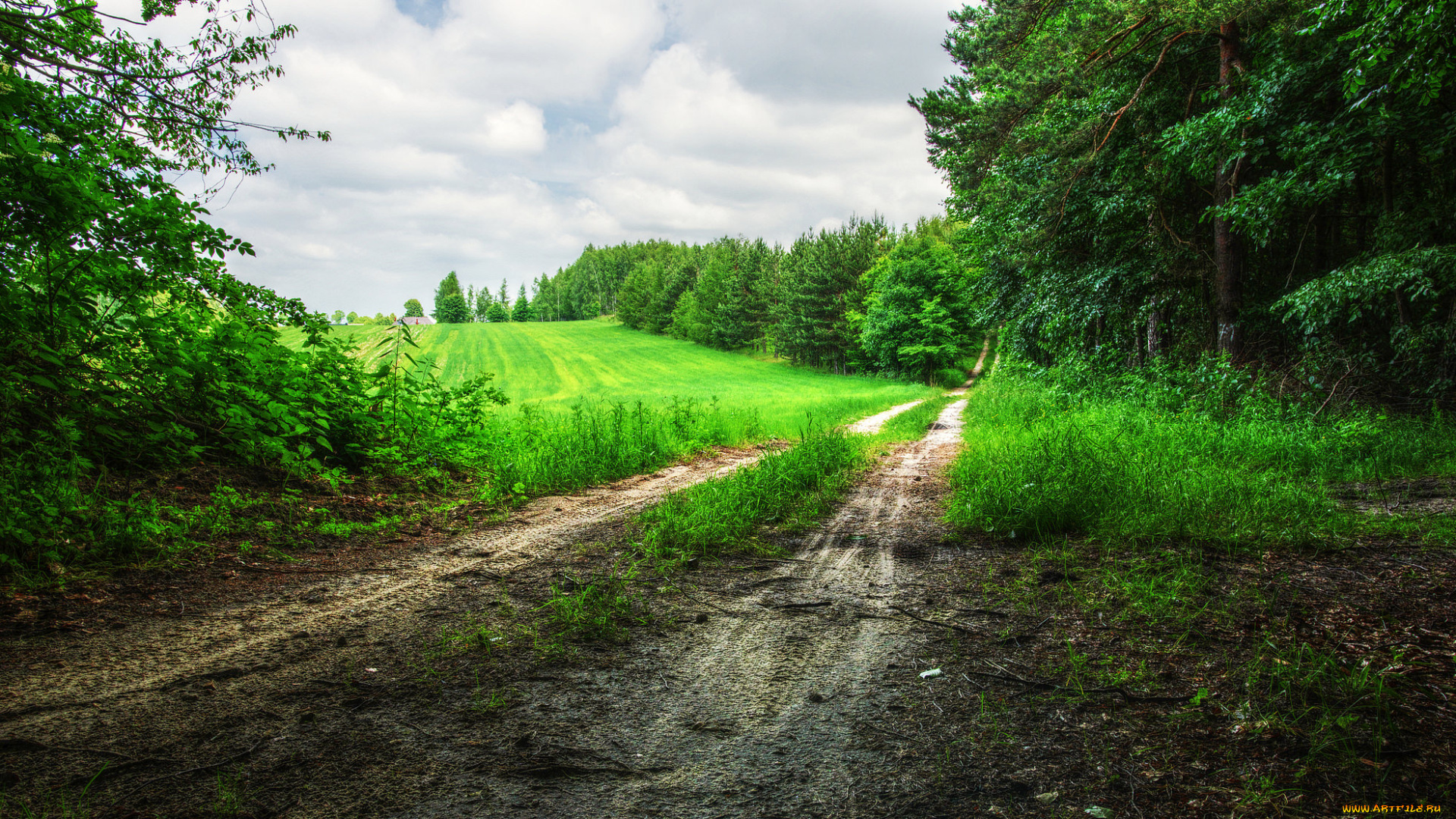 природа, дороги, простор