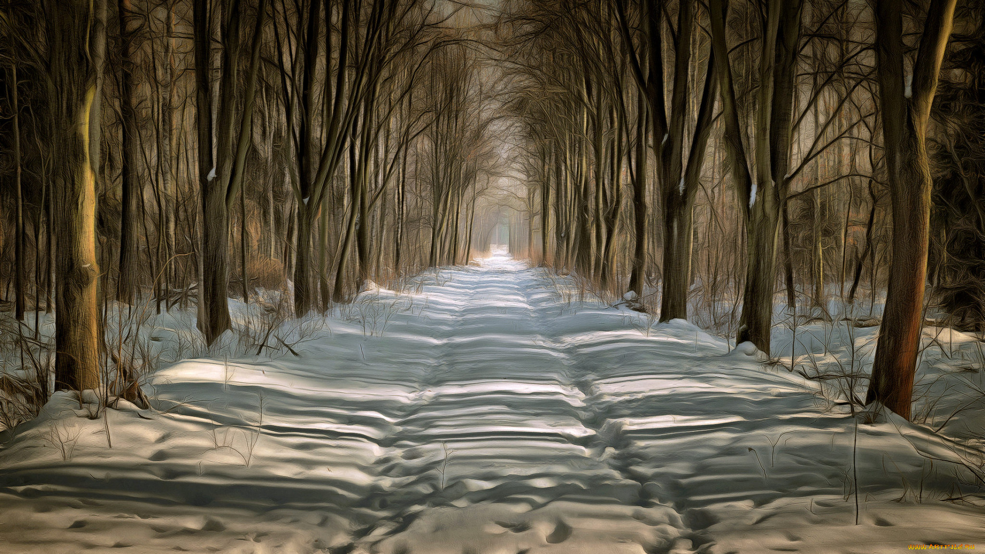 природа, дороги, простор