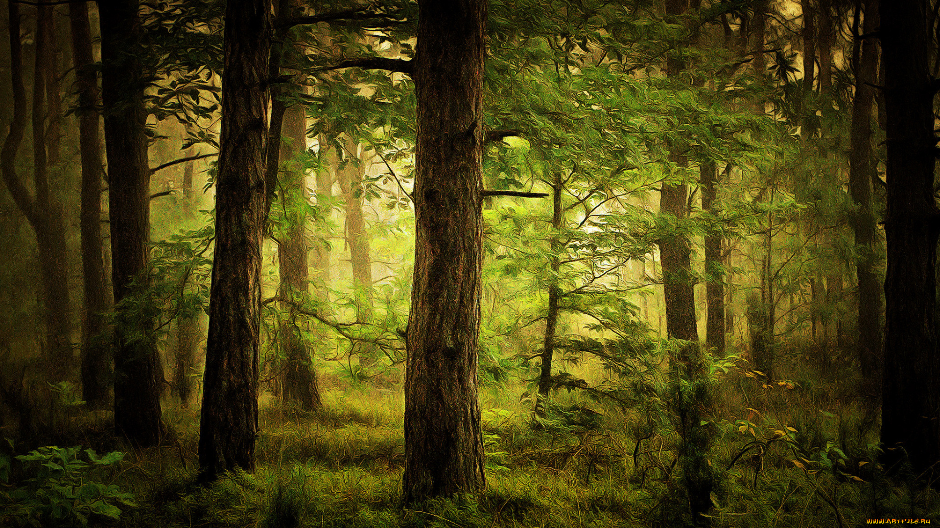 природа, лес, простор