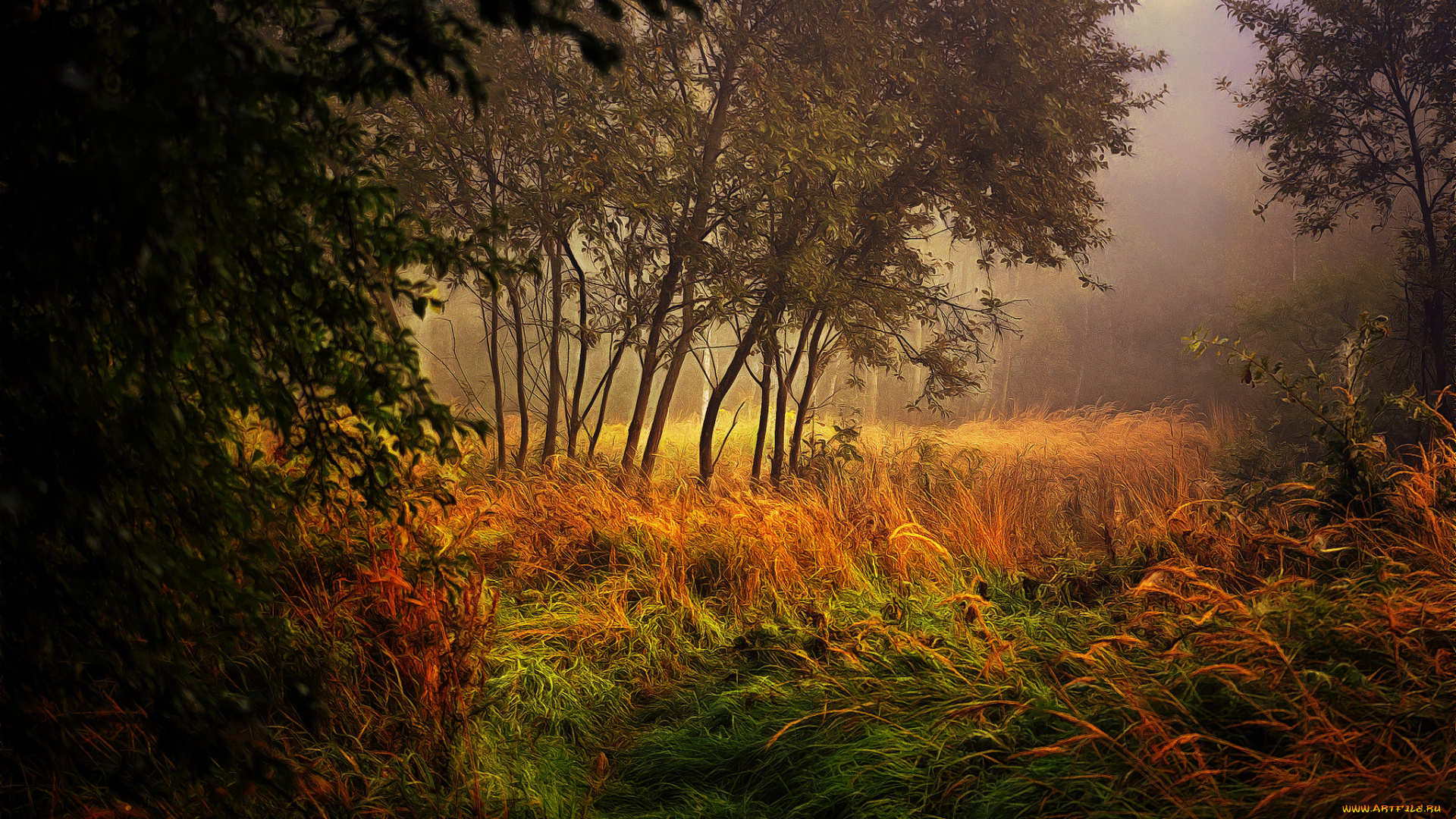 природа, лес, простор