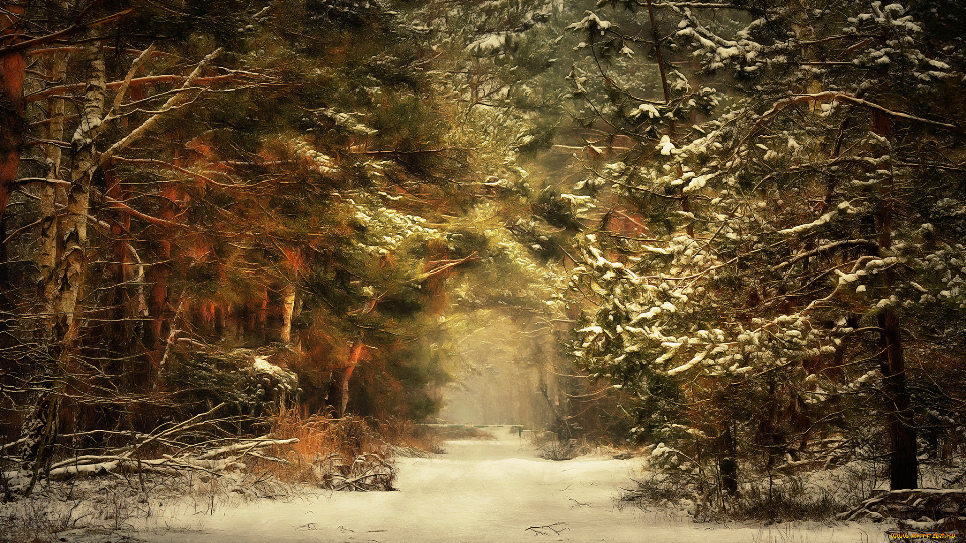 природа, лес, простор