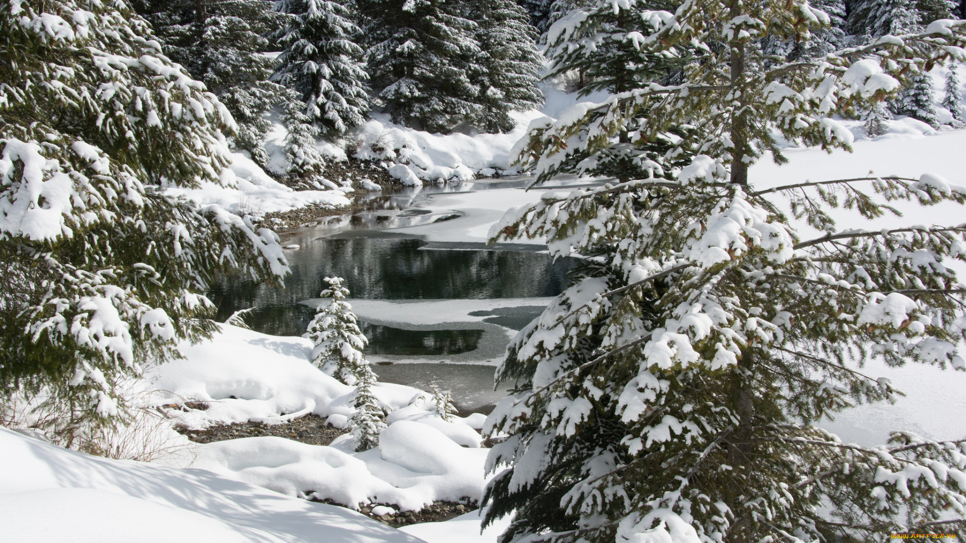 природа, зима, простор