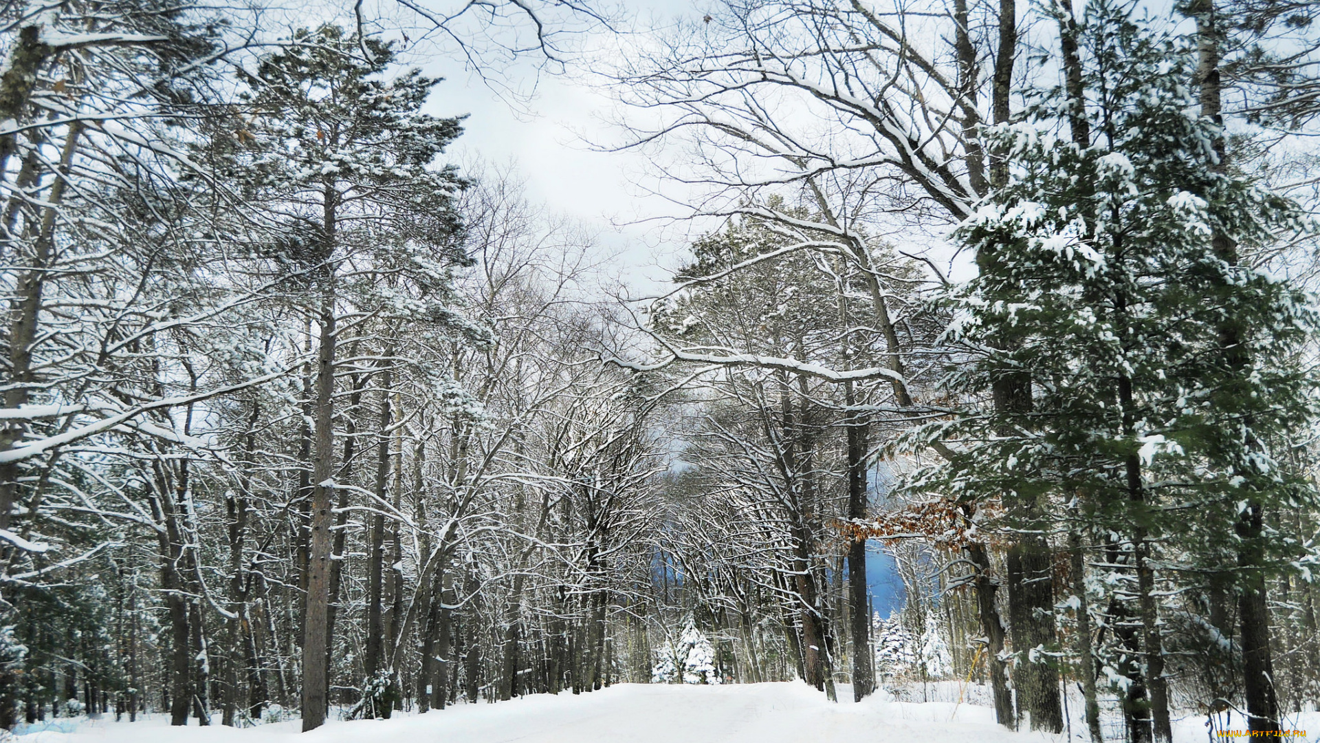 природа, зима, простор