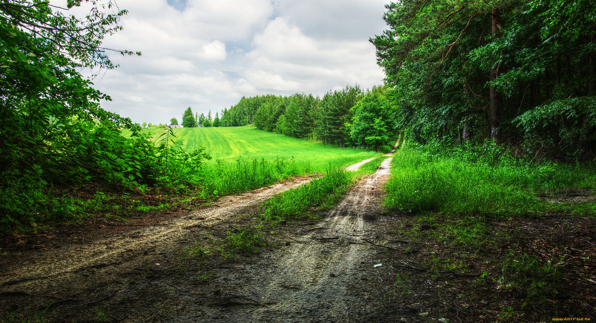 природа, дороги, простор