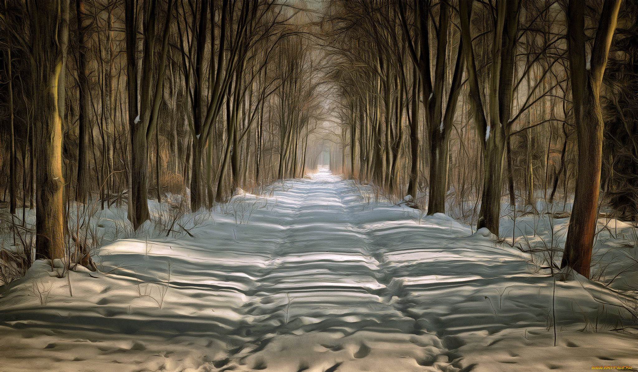 природа, дороги, простор