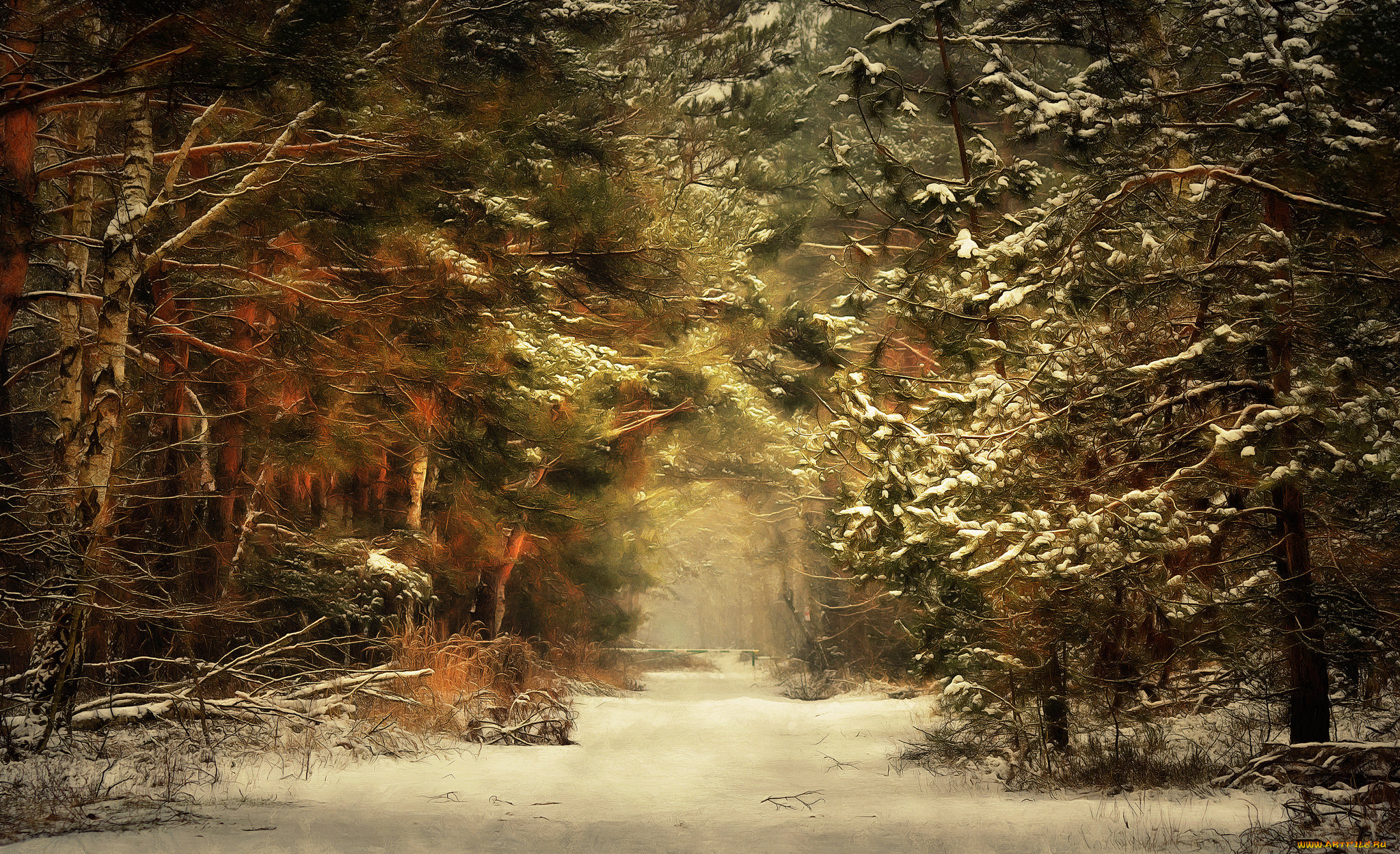 природа, лес, простор