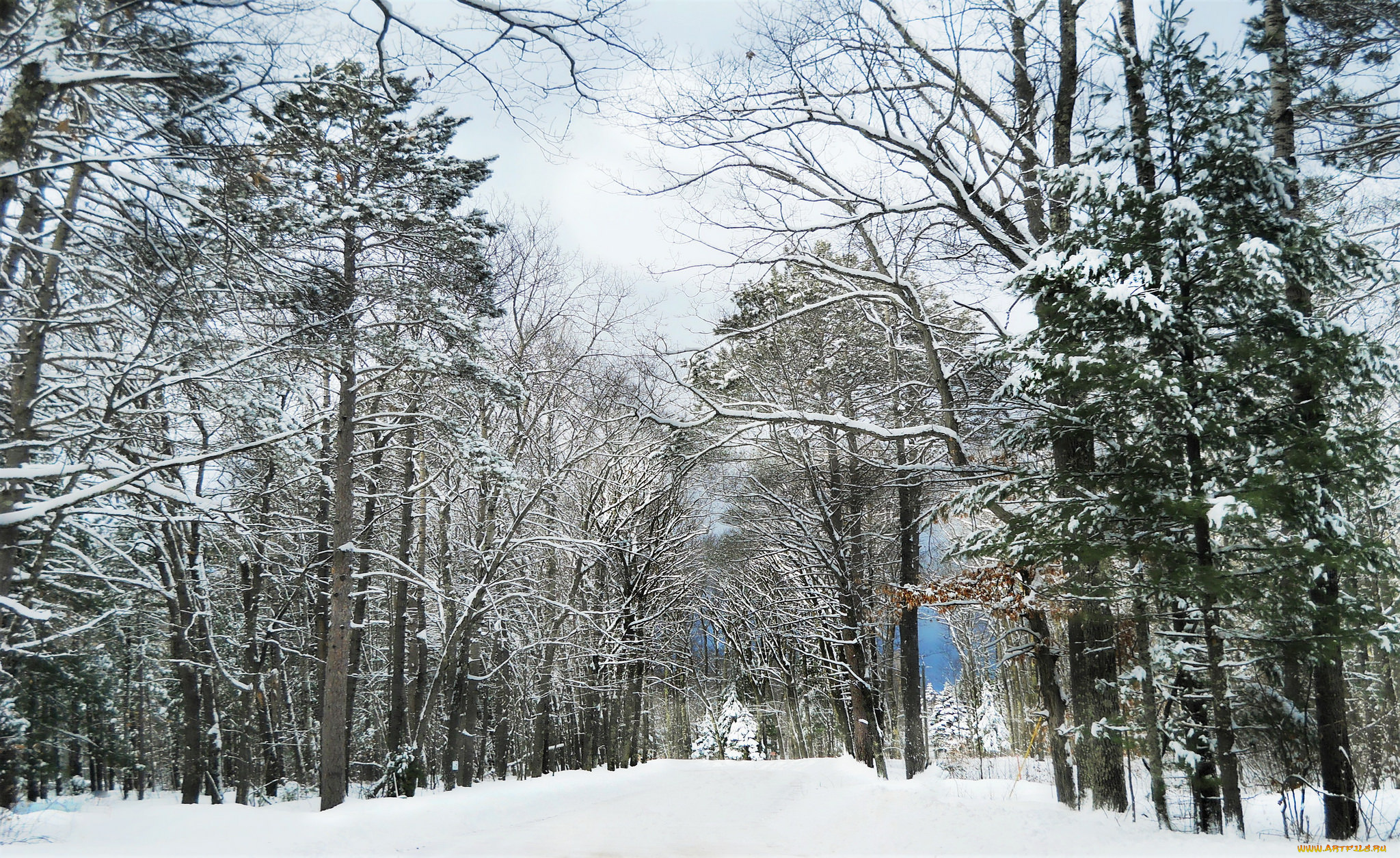 природа, зима, простор