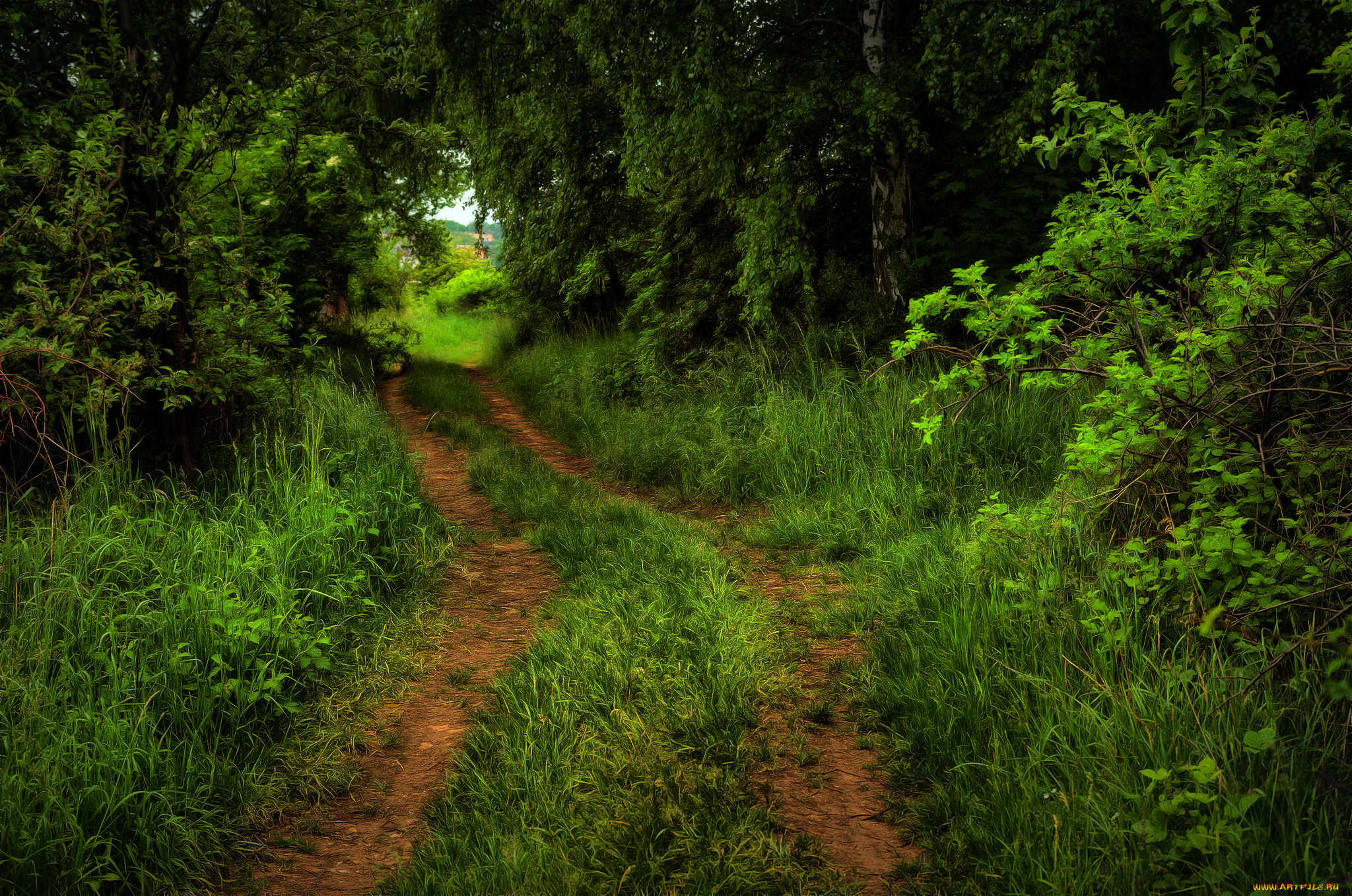 природа, дороги, простор