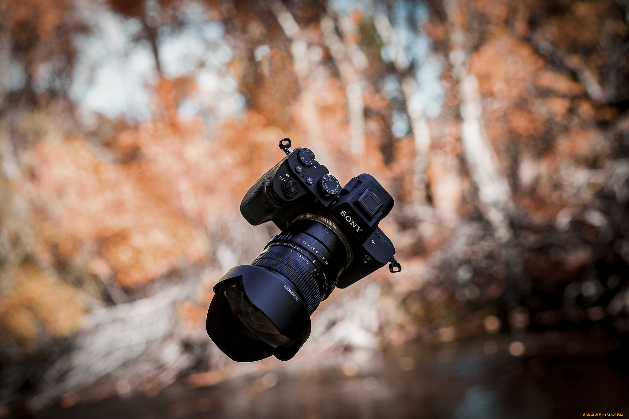 бренды, sony, фотокамера