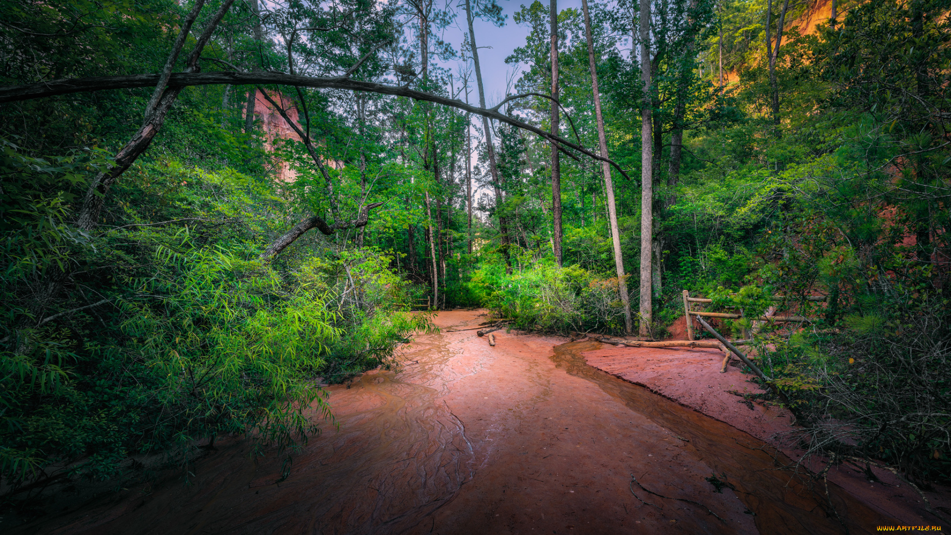 природа, дороги, простор