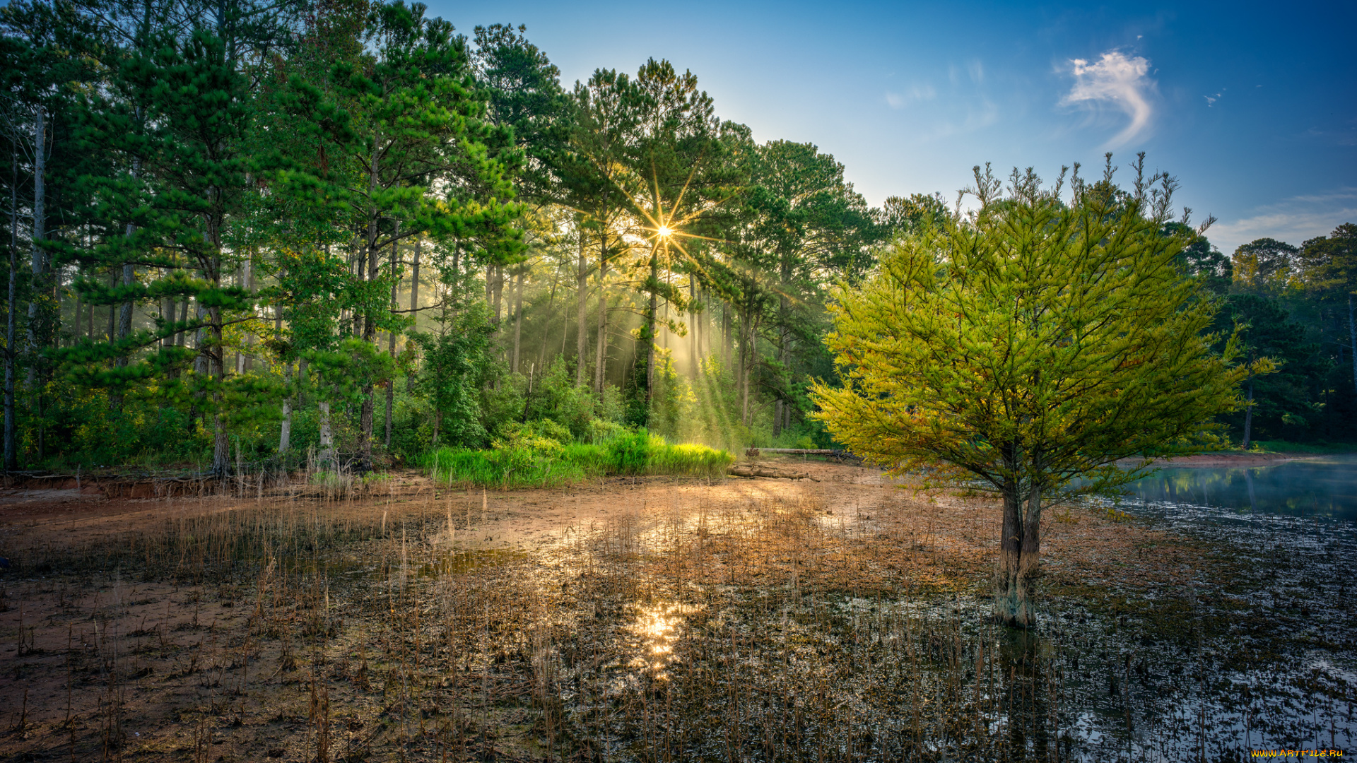природа, реки, озера, простор