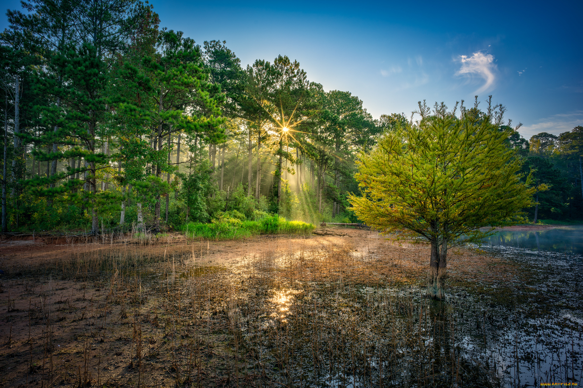 природа, реки, озера, простор