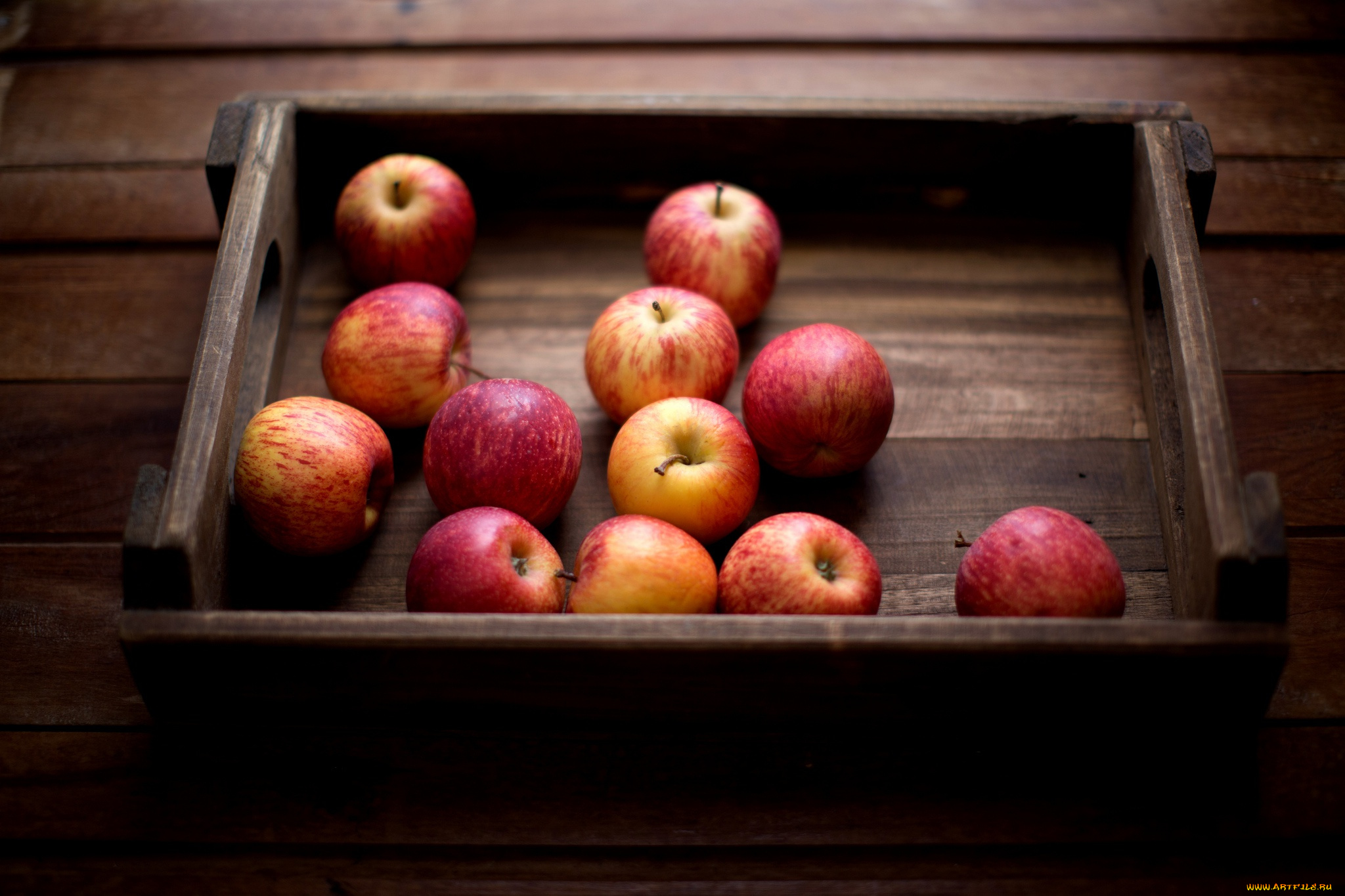 еда, яблоки