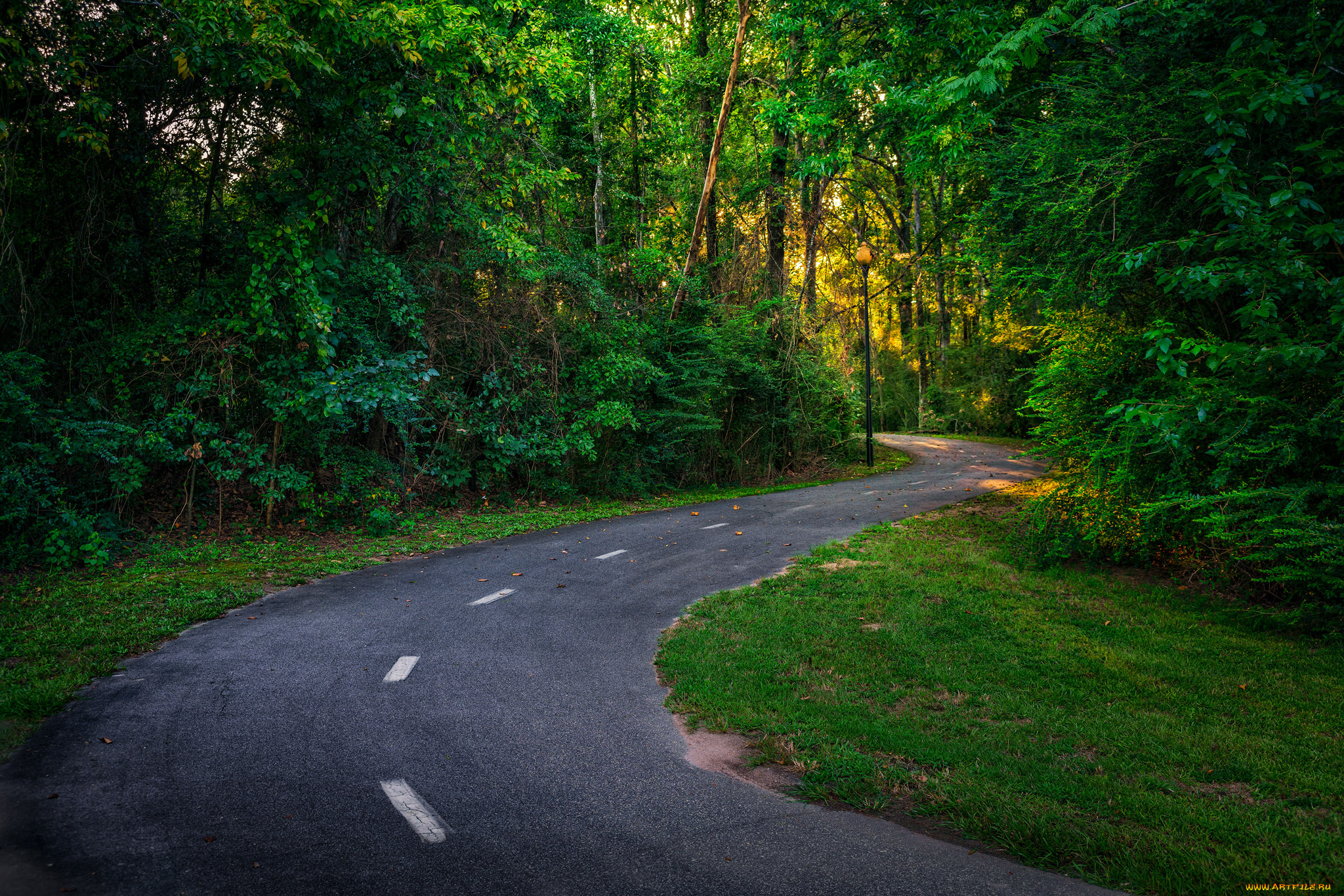 природа, дороги, простор