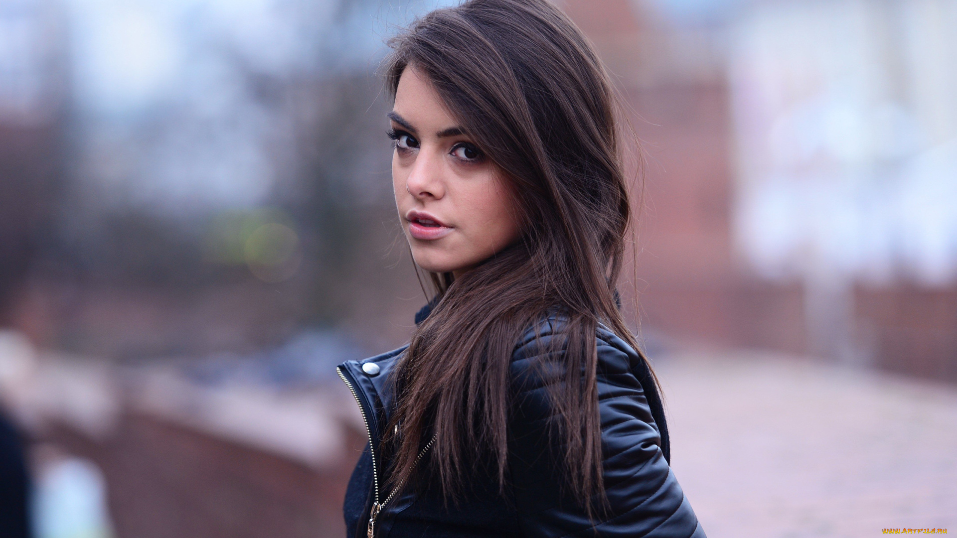 anita, sikorska, девушки, anita, sikorska, портрет, лицо, девушка, модель, брюнетка, красотка, поза, сексуальная, взгляд, макияж