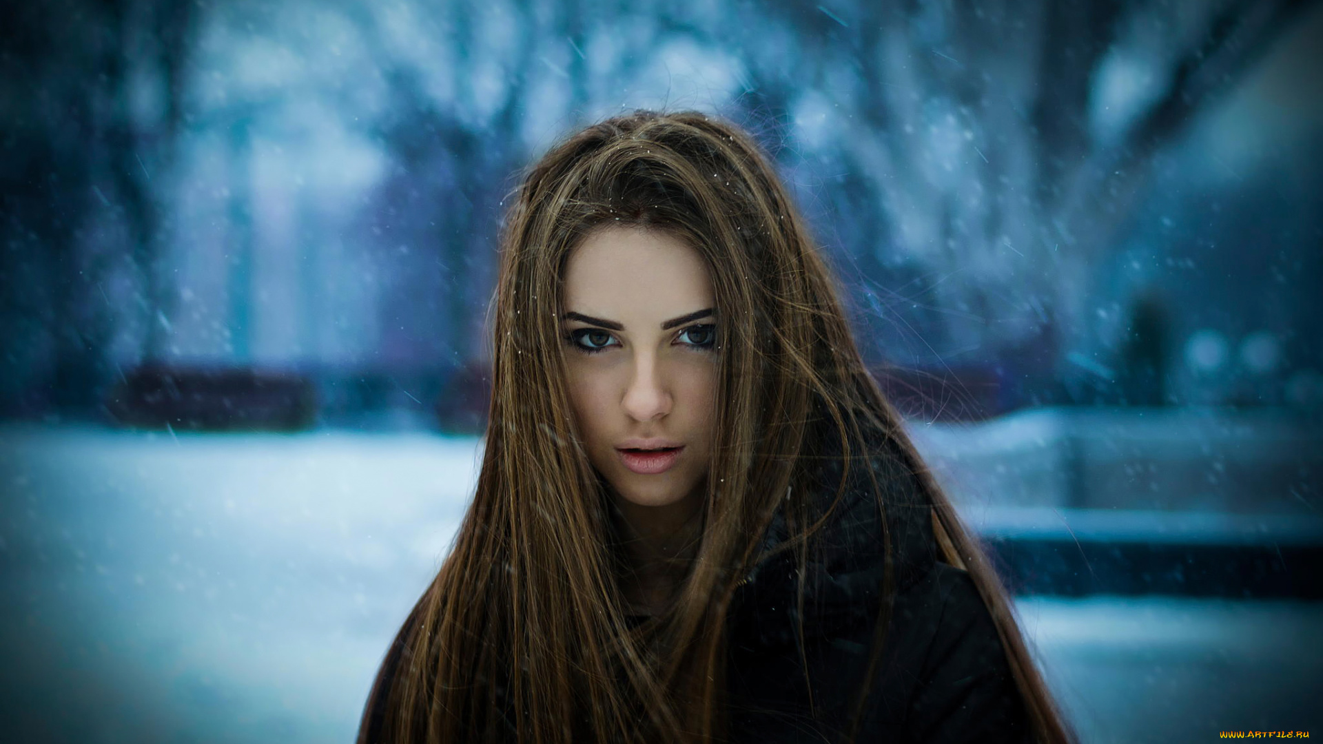 darina, prikhodko, , darina, maks, девушки, дарина, приходько, , darina, prikhodko, , darina, maks, darina, prikhodko, maks, портрет, лицо, девушка, модель, шатенка, красотка, красавица, стройная, взгляд, сексуальная