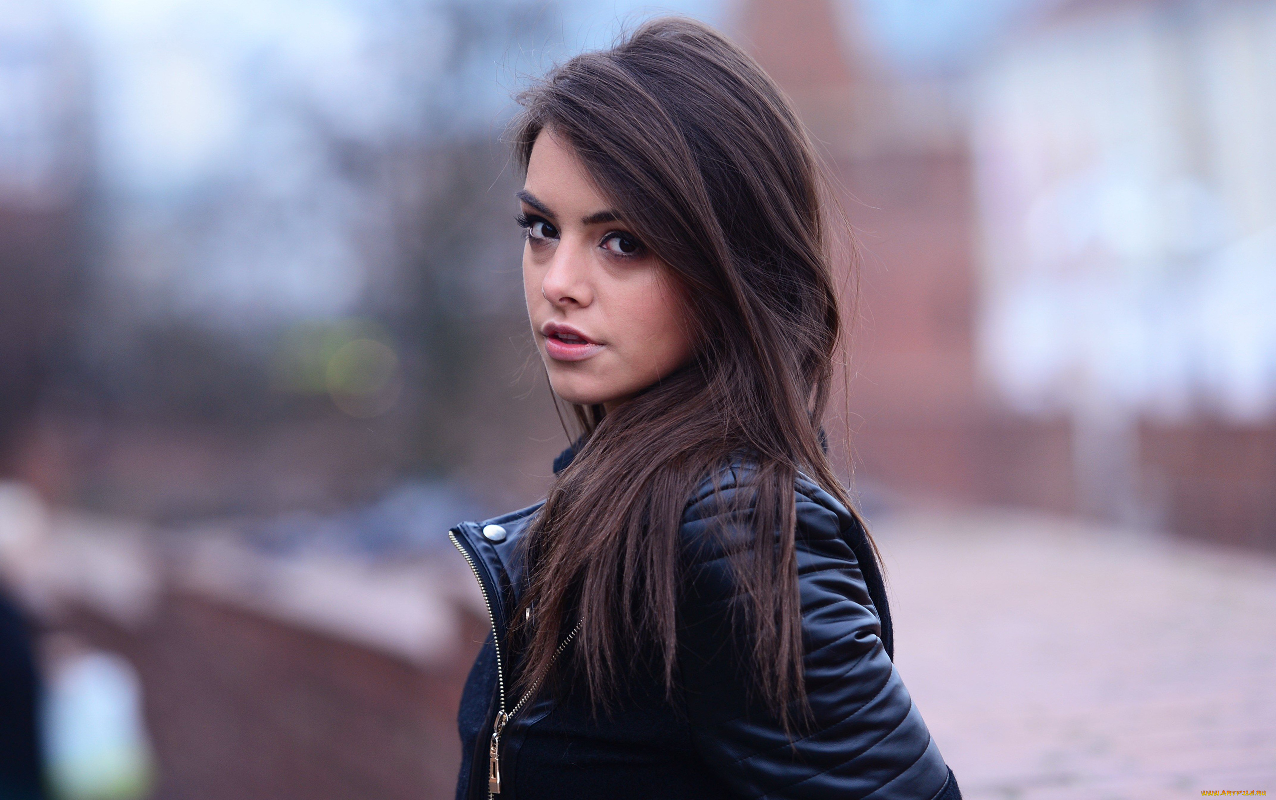 anita, sikorska, девушки, anita, sikorska, портрет, лицо, девушка, модель, брюнетка, красотка, поза, сексуальная, взгляд, макияж