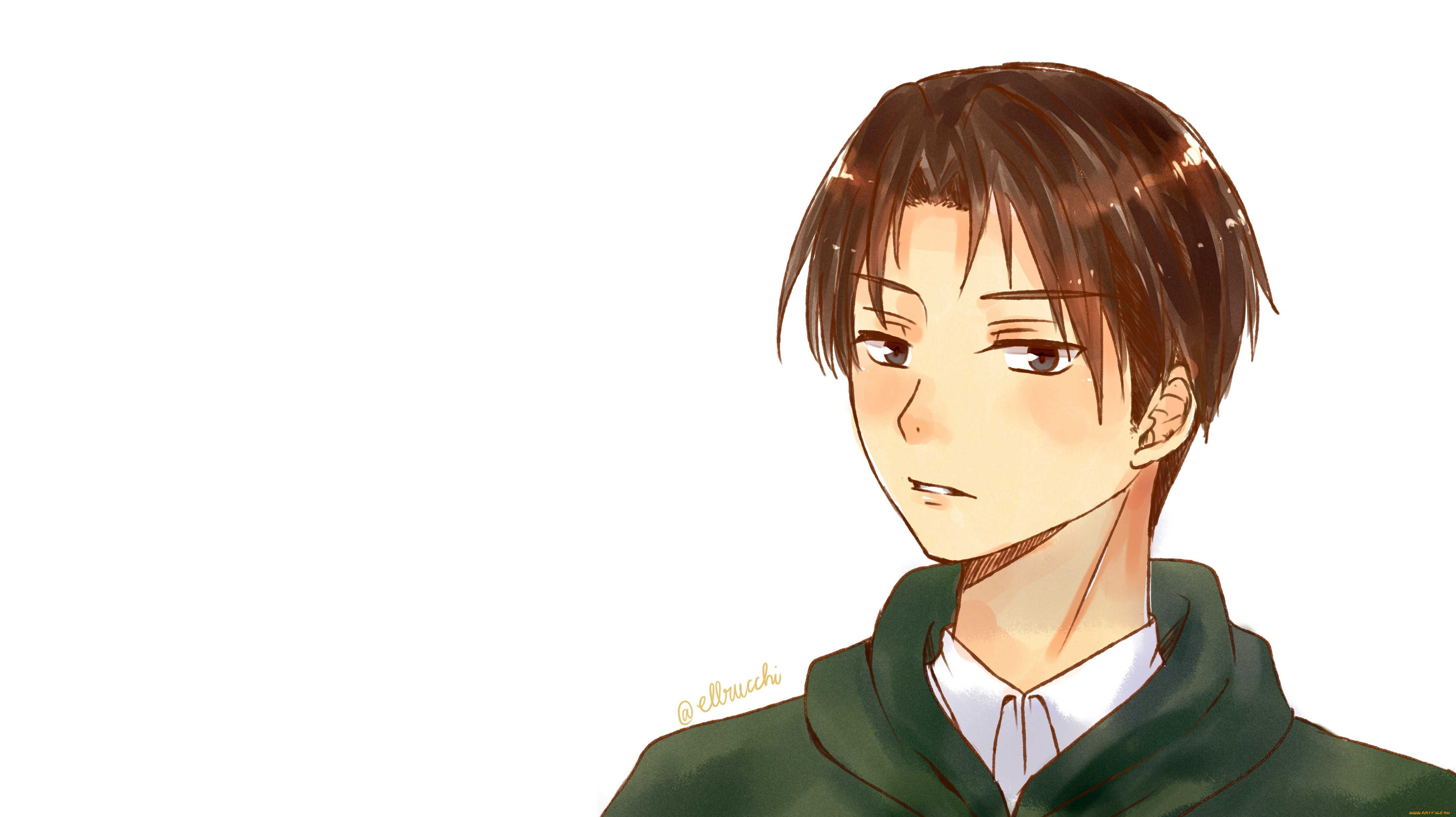 аниме, shingeki, no, kyojin, атака, титанов