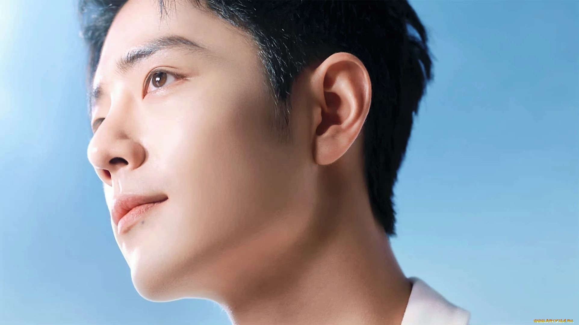 мужчины, xiao, zhan, актер, лицо, пиджак