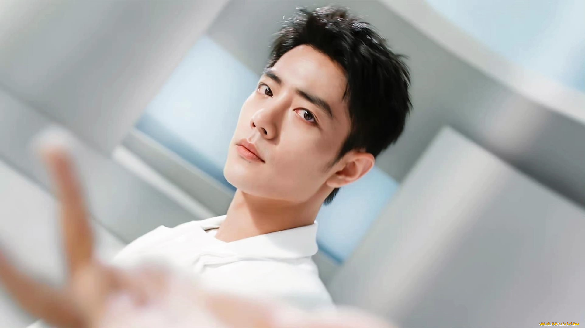 мужчины, xiao, zhan, актер, лицо, рубашка