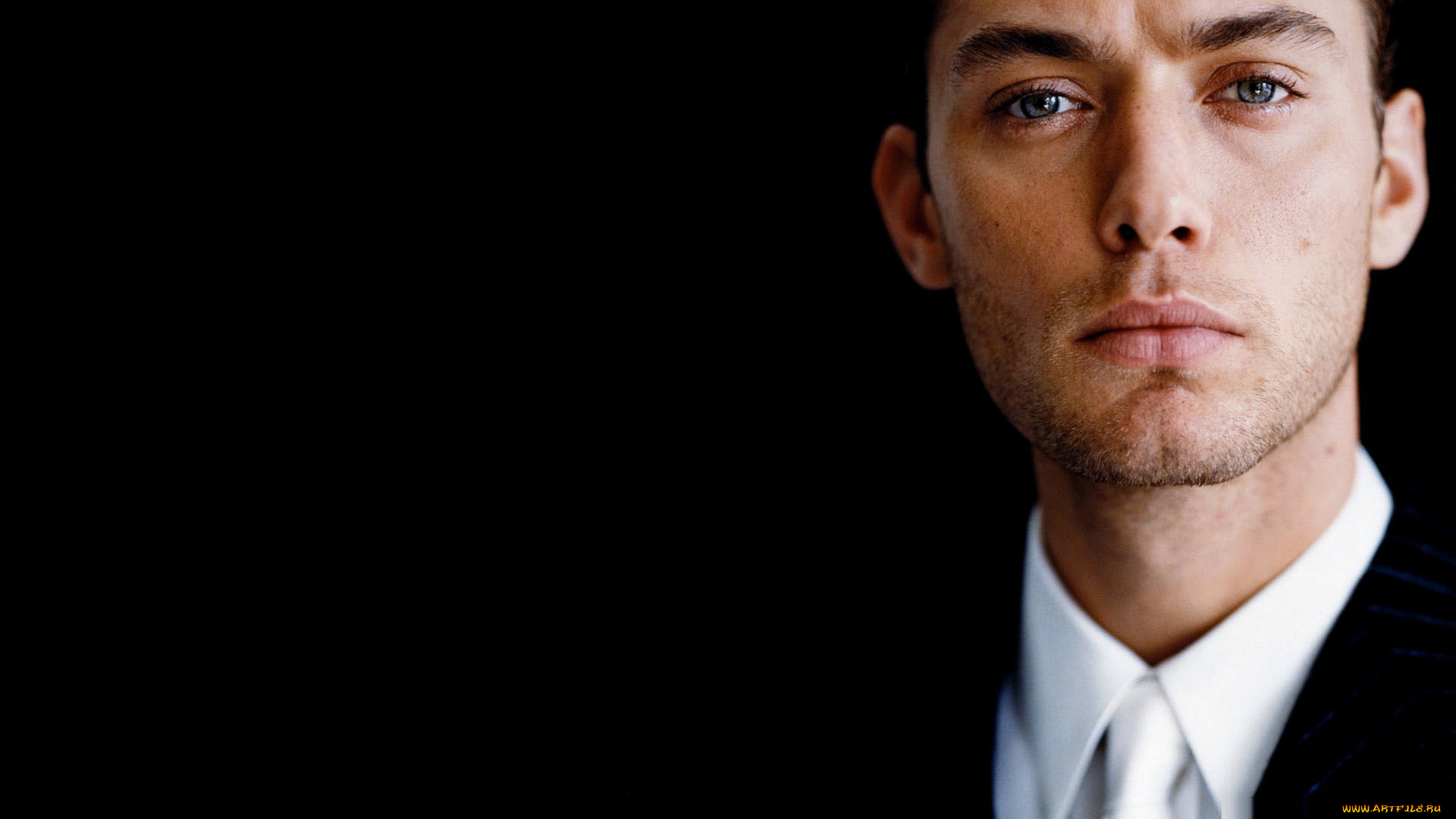 мужчины, jude, law, актер, лицо