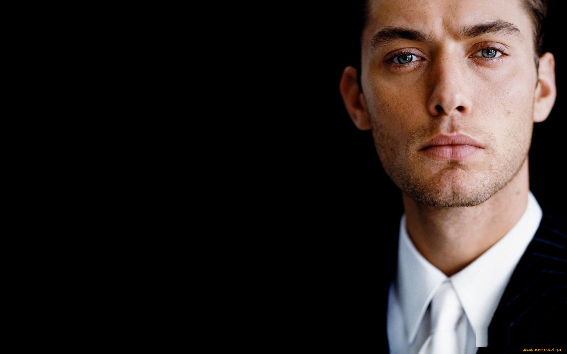 мужчины, jude, law, актер, лицо