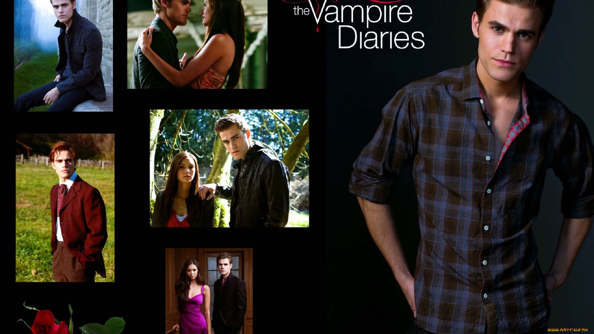 кино, фильмы, the, vampire, diaries, вампиры, кадры, роза