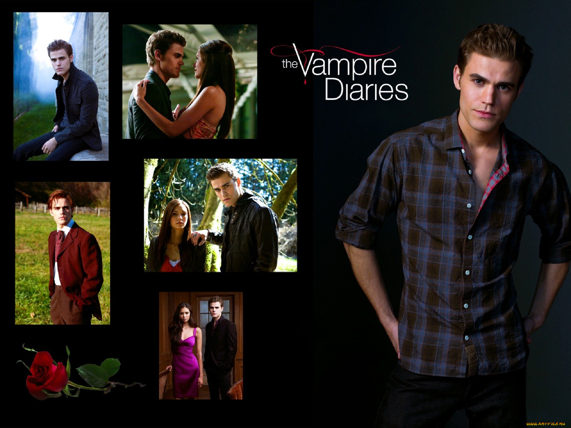 кино, фильмы, the, vampire, diaries, вампиры, кадры, роза