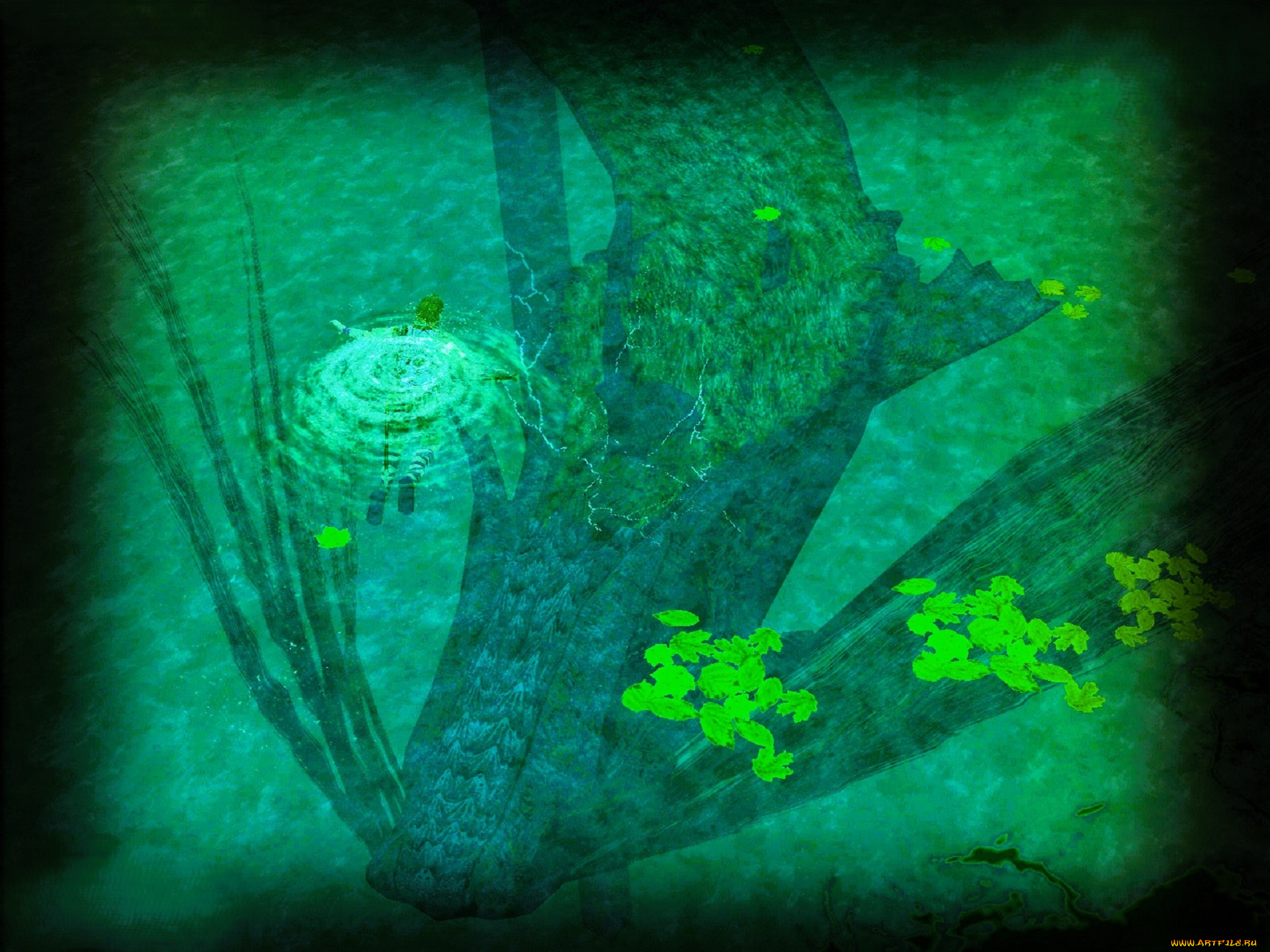 видео, игры, shadow, of, the, colossus, вода, тень, водоросли