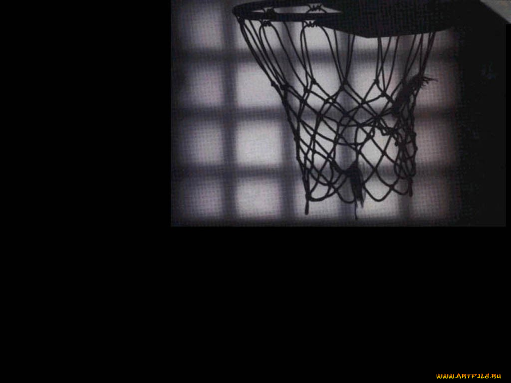 спорт, баскетбол