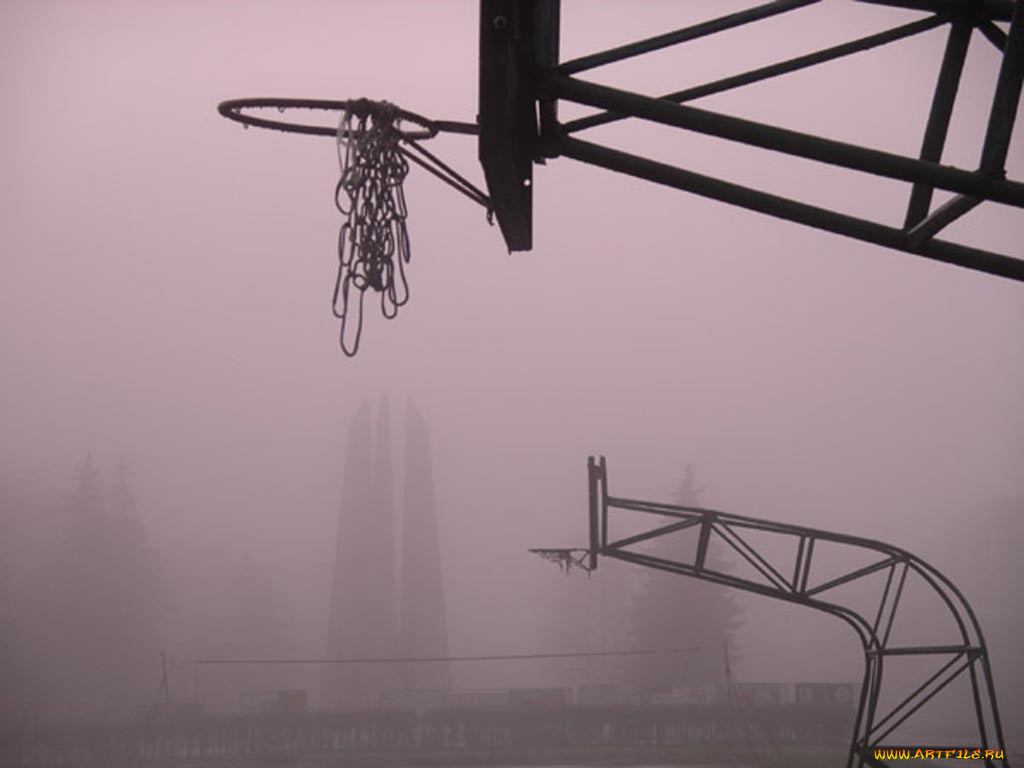 спорт, баскетбол