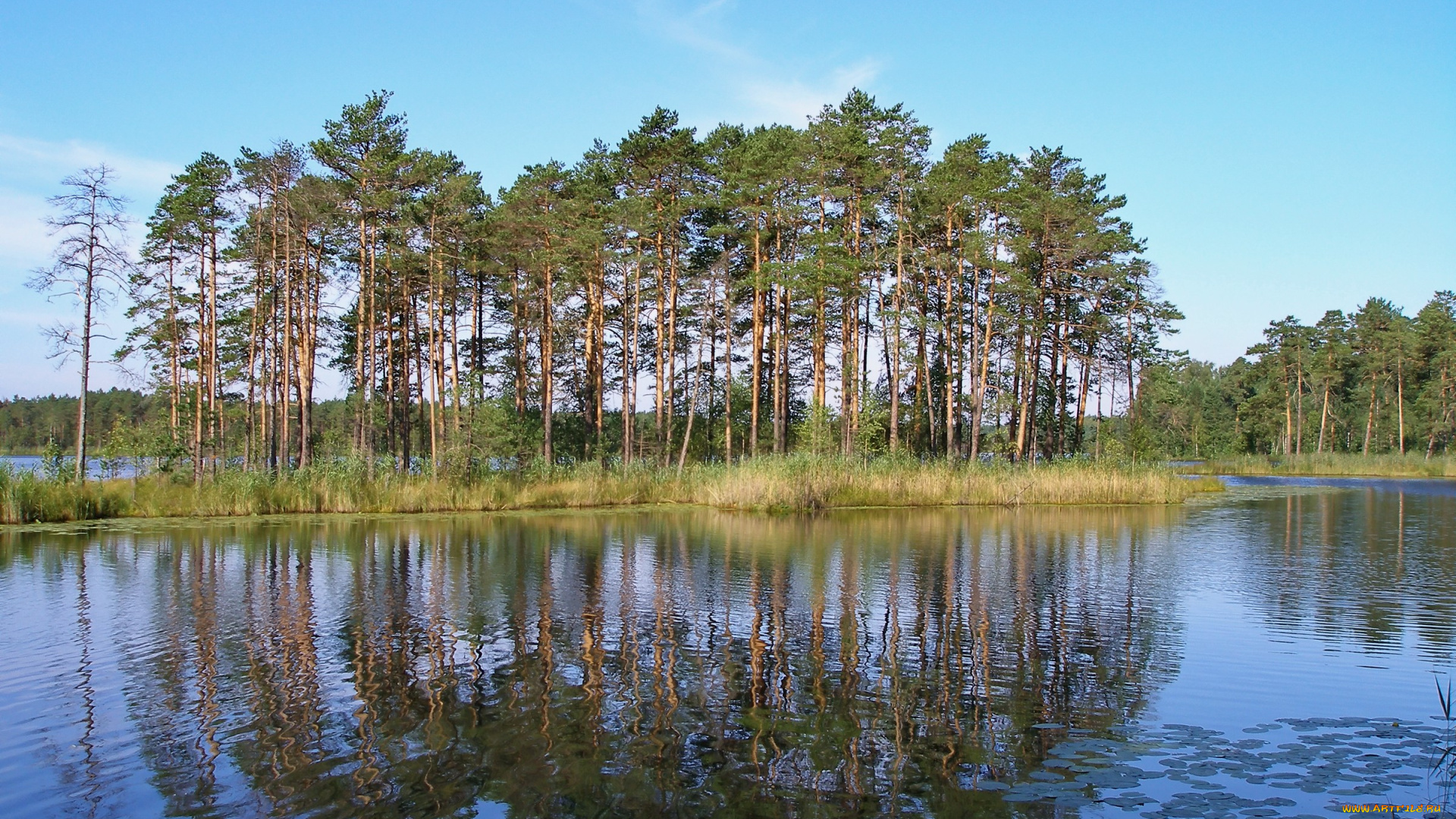 природа, реки, озера