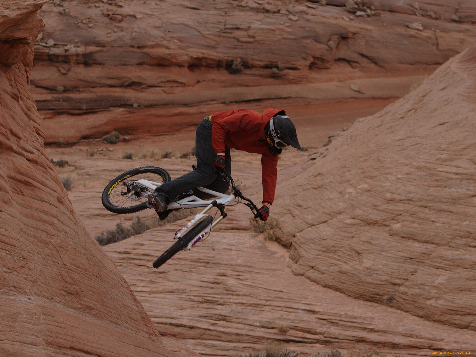 спорт, велоспорт