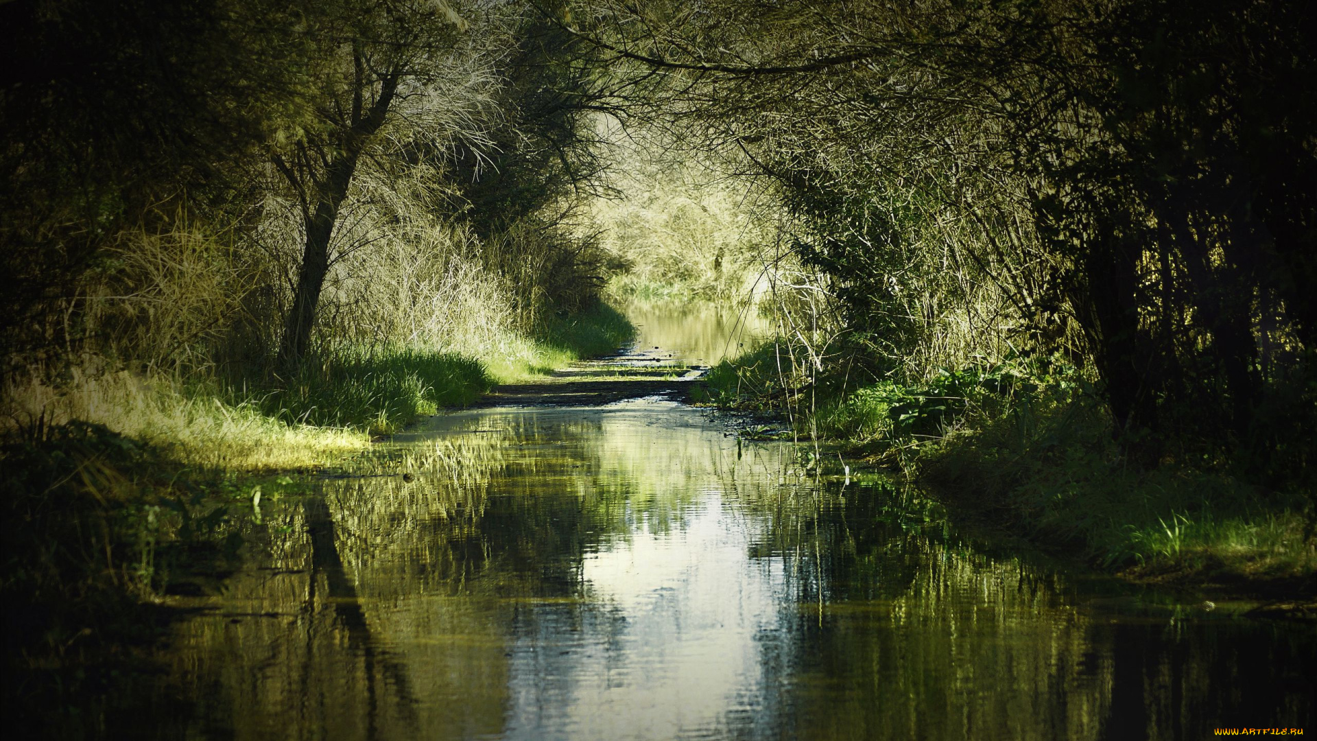 природа, реки, озера