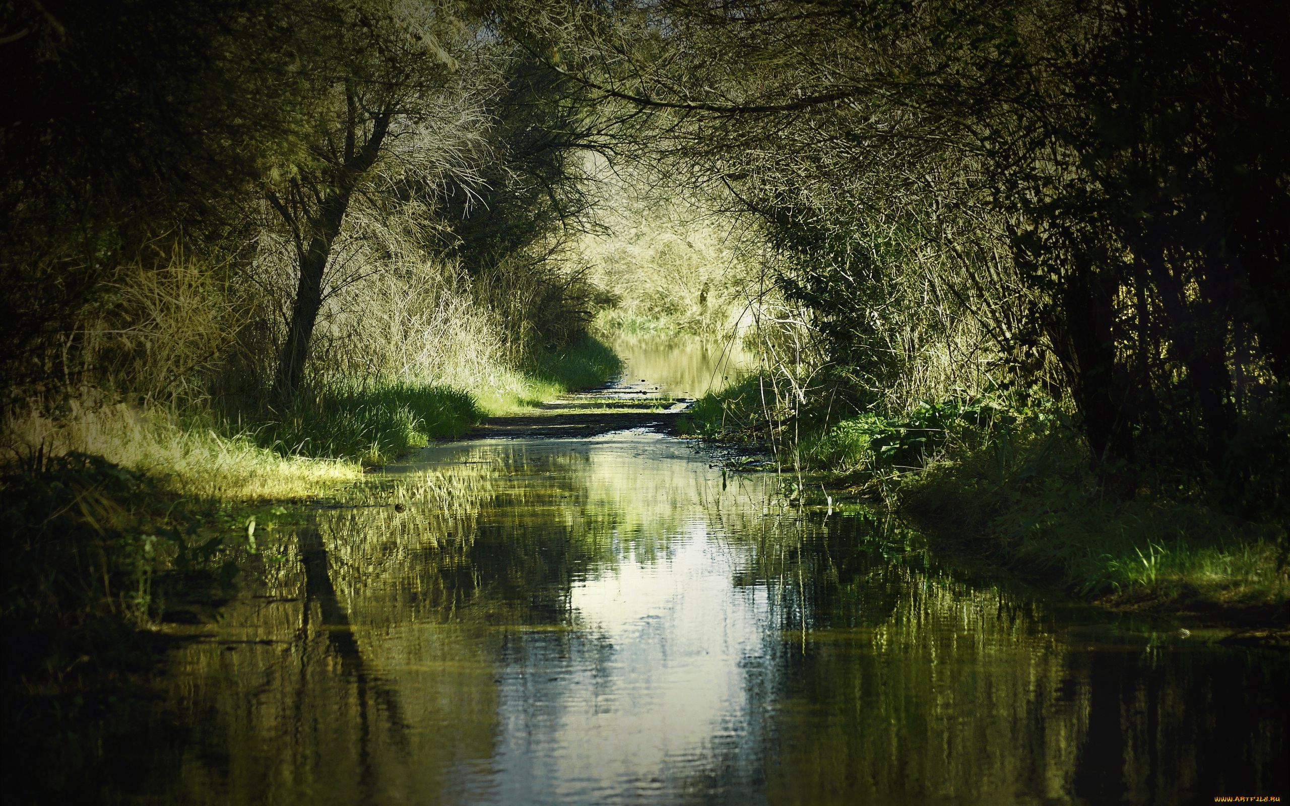 природа, реки, озера