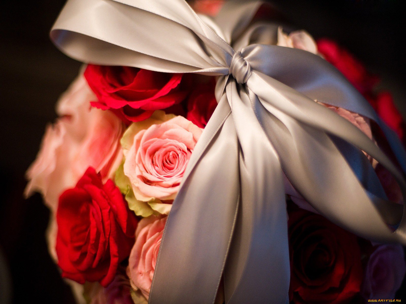 цветы, розы, лента, бант