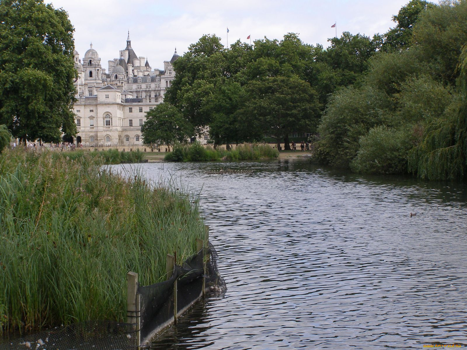 города, замки, луары, франция, флаги, дворец, деревья, пруд, камыш