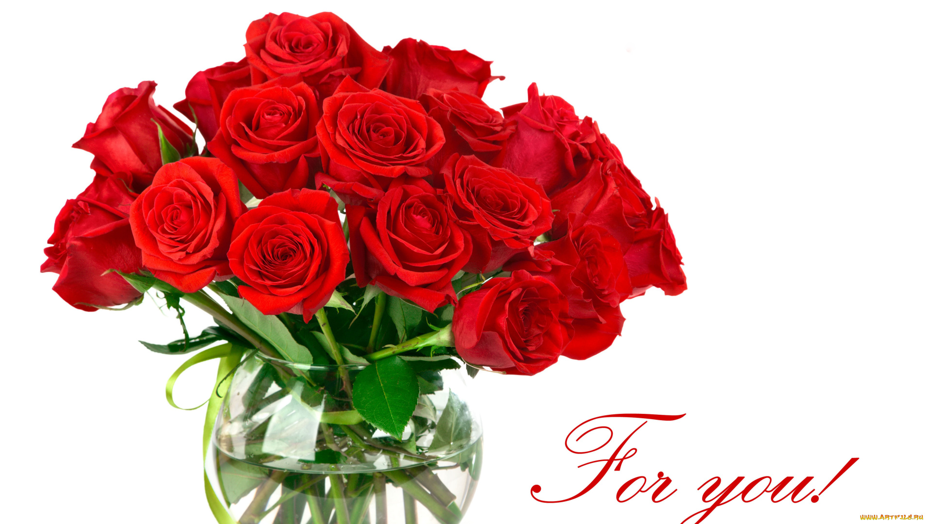 цветы, розы, ваза, надпись